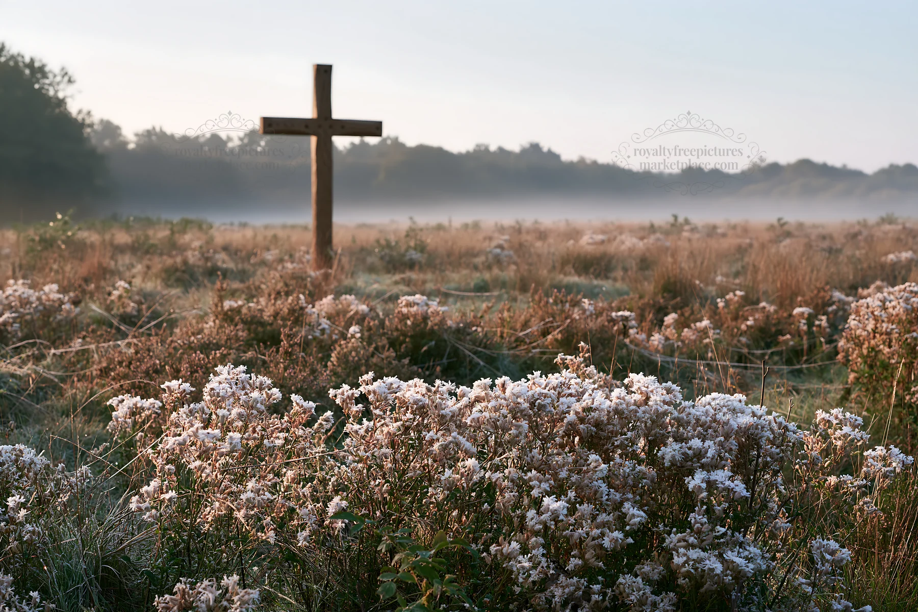 Carved oak cross in a frosted meadow at dawn - AI-generated stock image