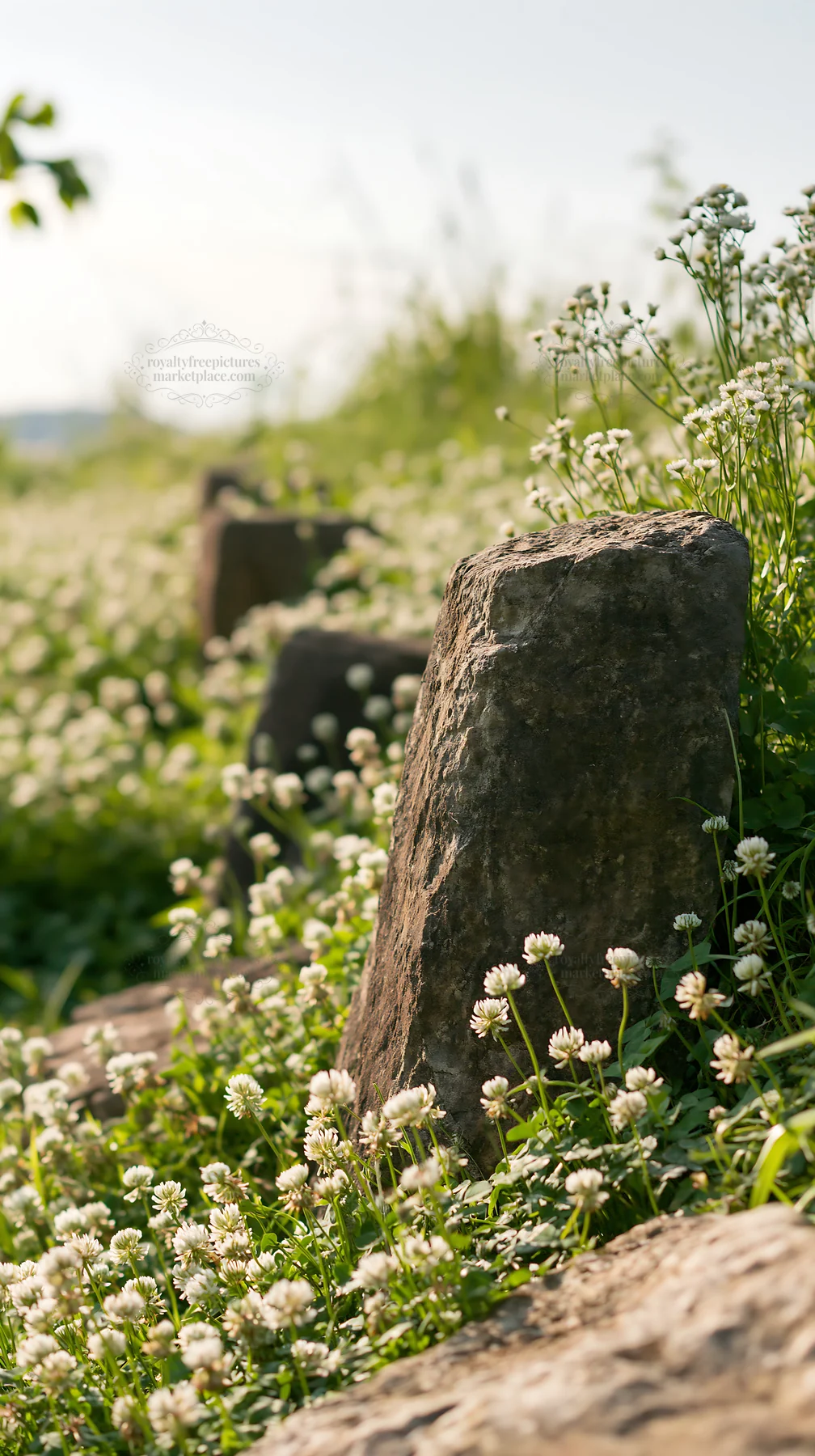 Kyoto spring wildflower meadow stone foreground - AI-generated stock image