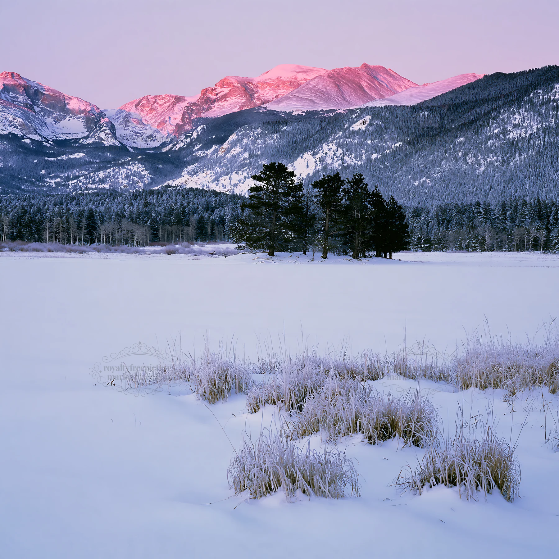 Snowy Rocky Mountain Park meadow with distant mountains - AI-generated stock image