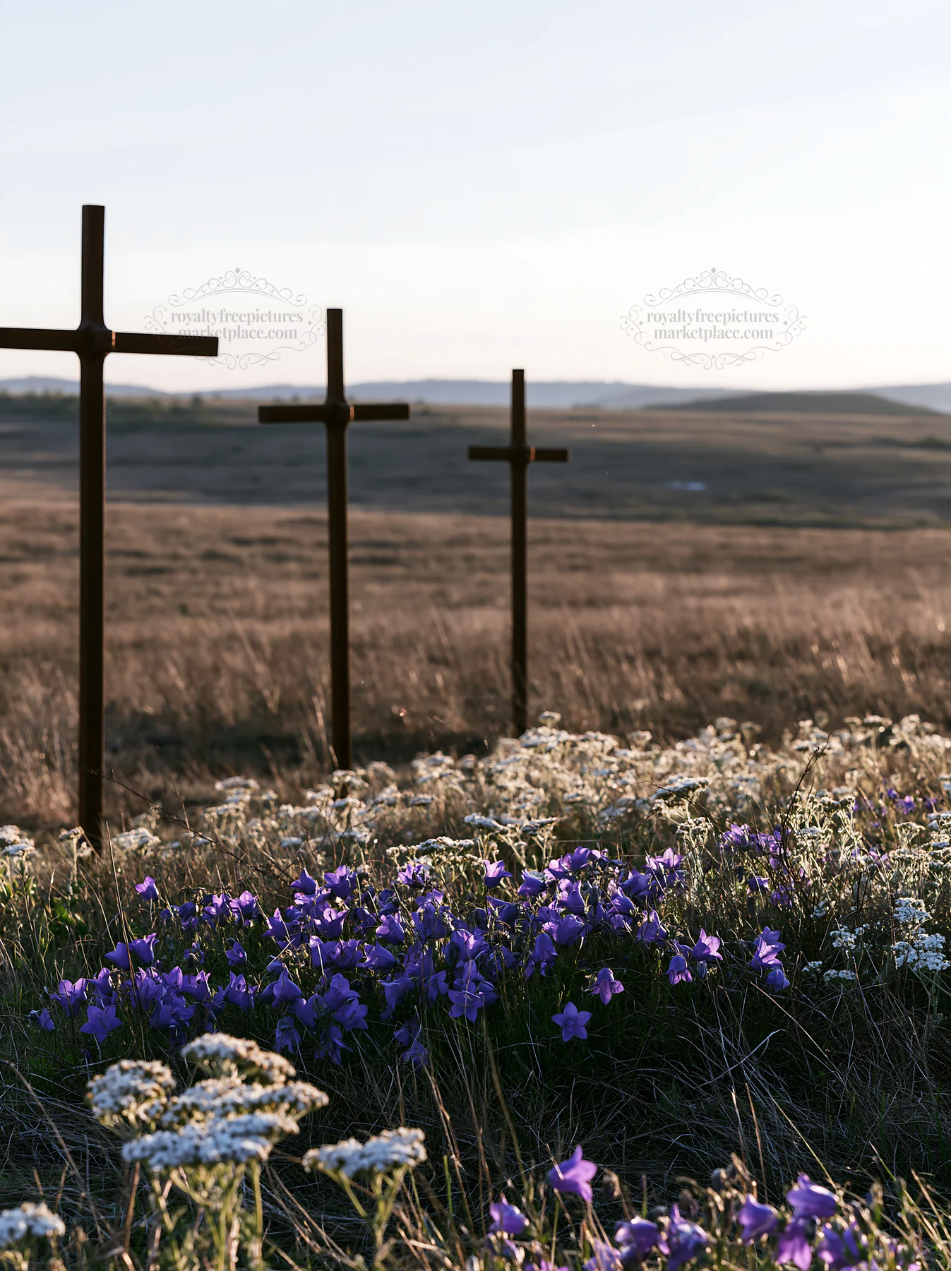 Three iron crosses in Advent meadow with flowers - AI-generated stock image