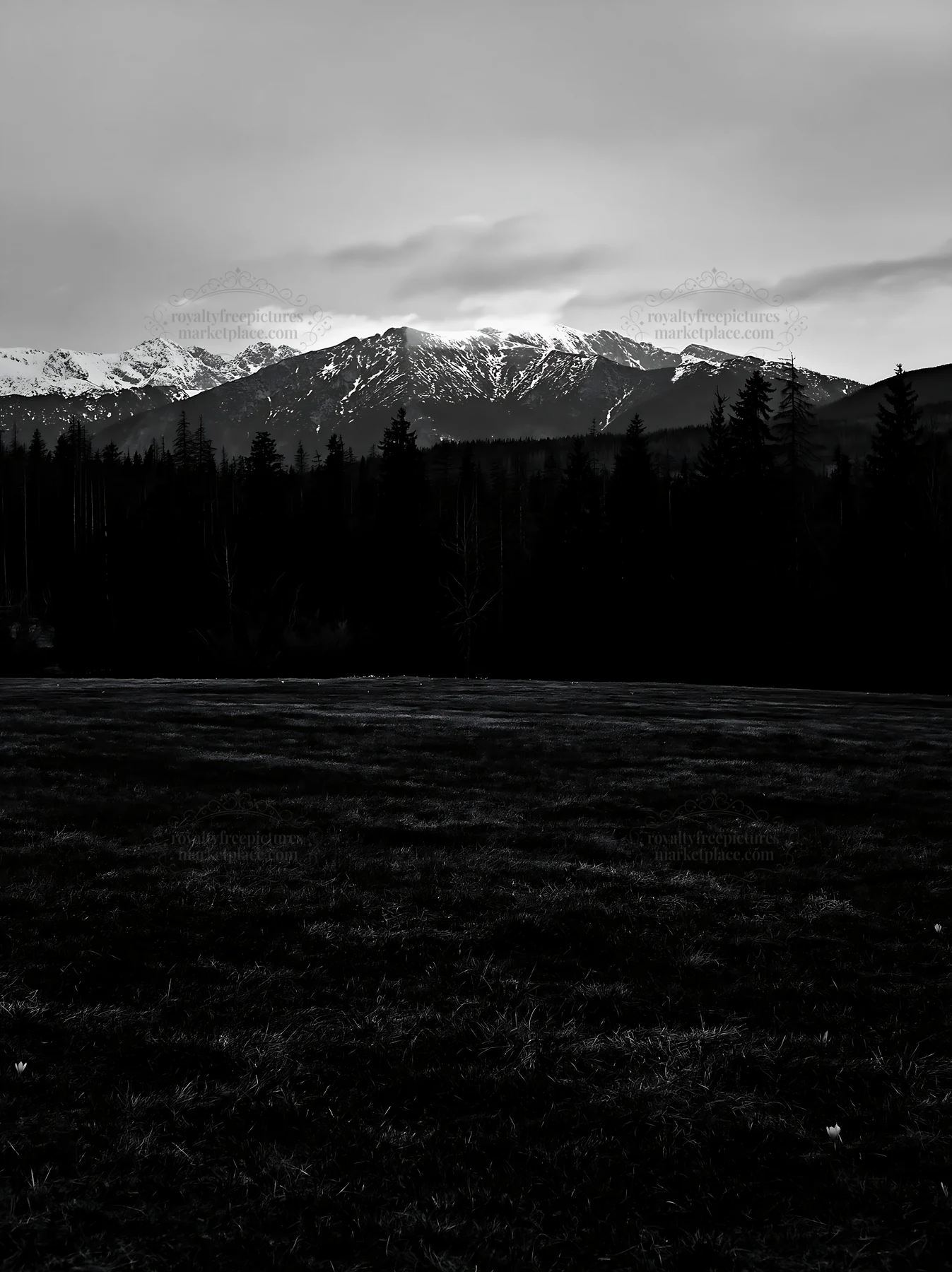 Black and white tatra mountains meadow spring snowmelt at dusk - AI-generated stock image
