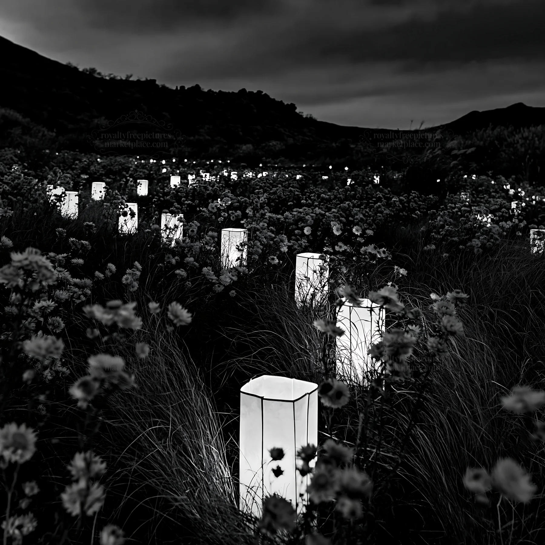 Vibrant Christmas lanterns under twilight sky in meadow - AI-generated stock image
