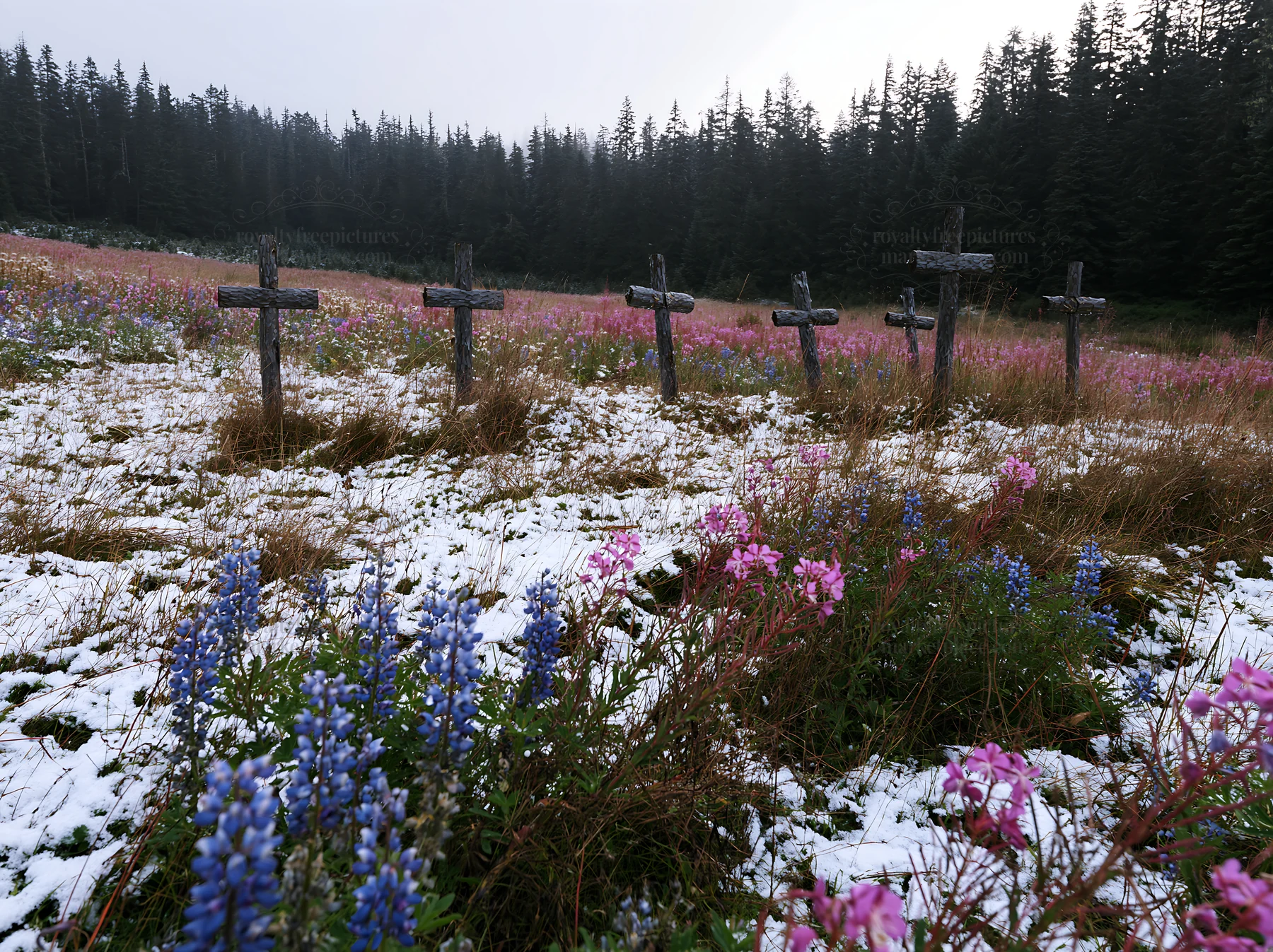 Multiple Christian crosses in snowy meadow with flowers - AI-generated stock image