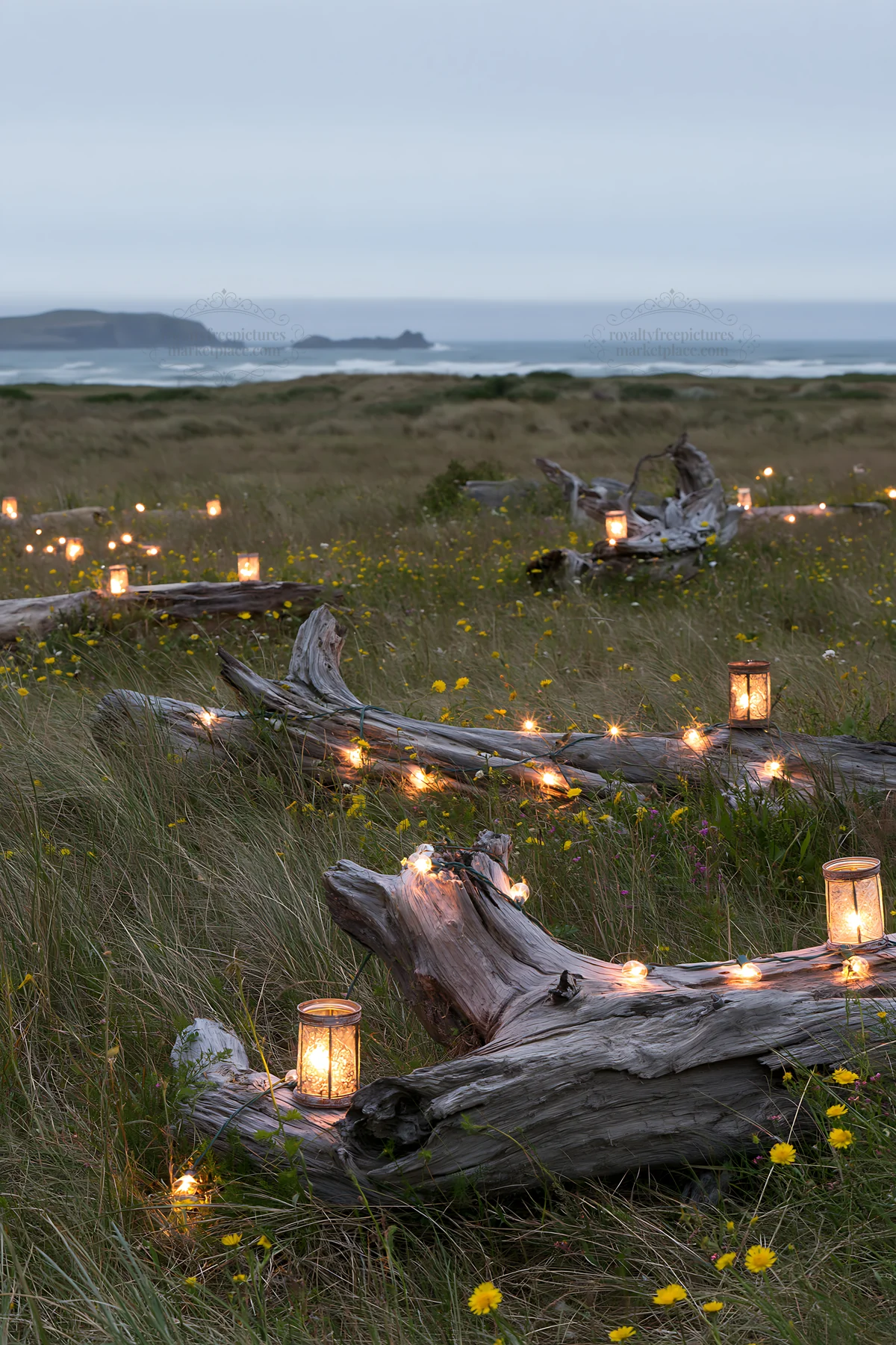 Expansive Christmas meadow with lights and driftwood in evening - AI-generated stock image