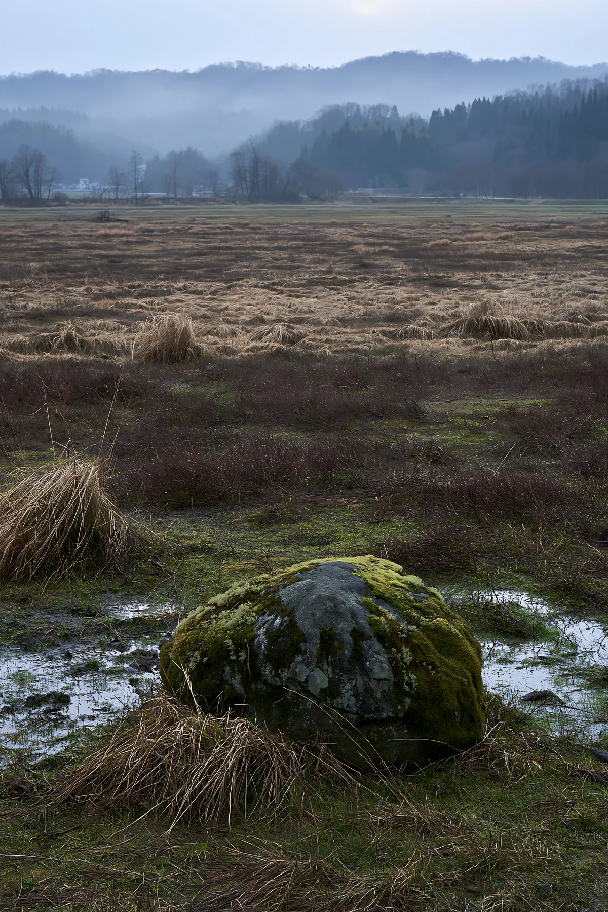 Miyagi spring recovery meadow mossy stone in a quiet landscape - AI-generated stock image