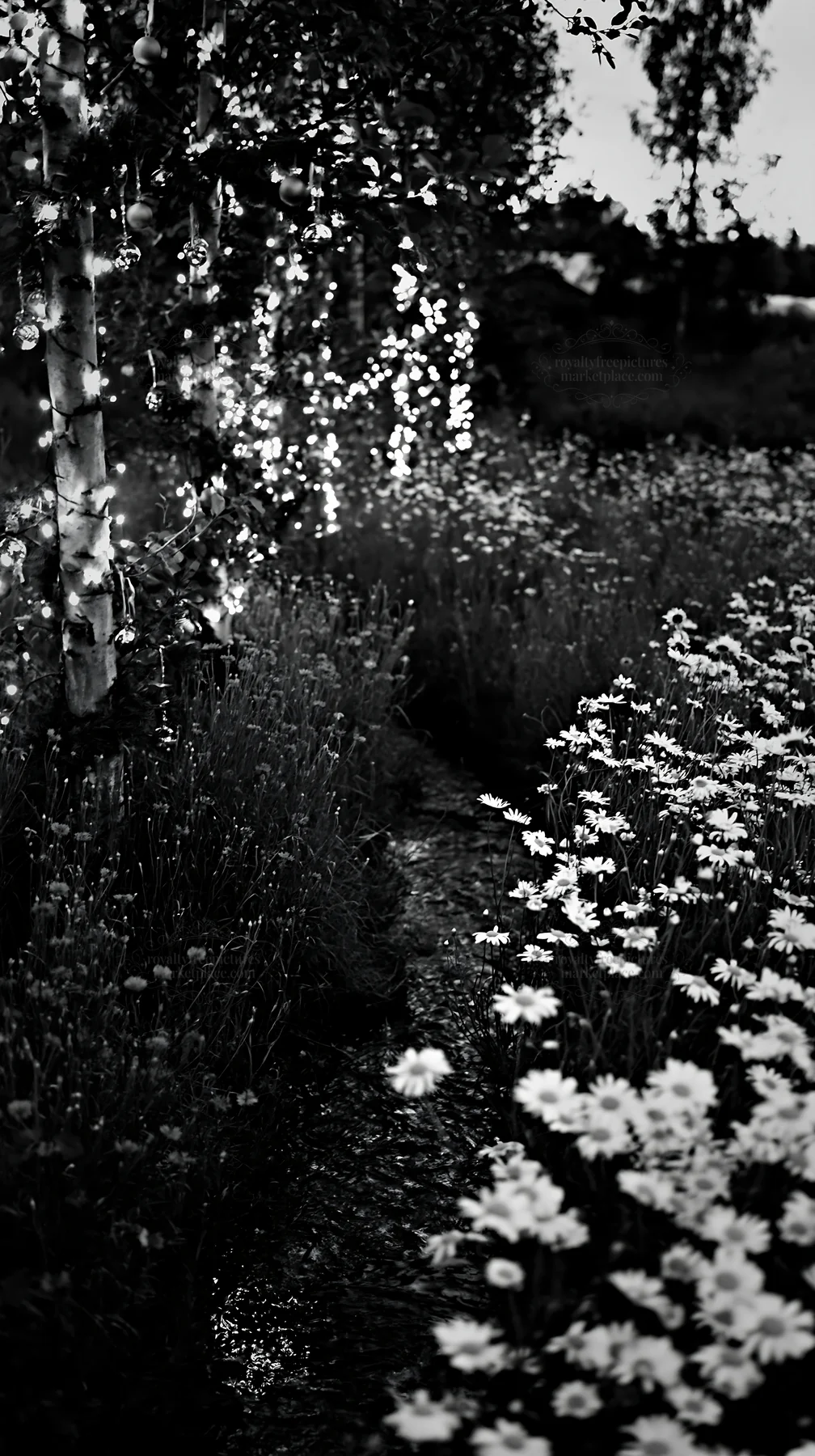 Christmas lights beside stream in meadow at dusk - AI-generated stock image