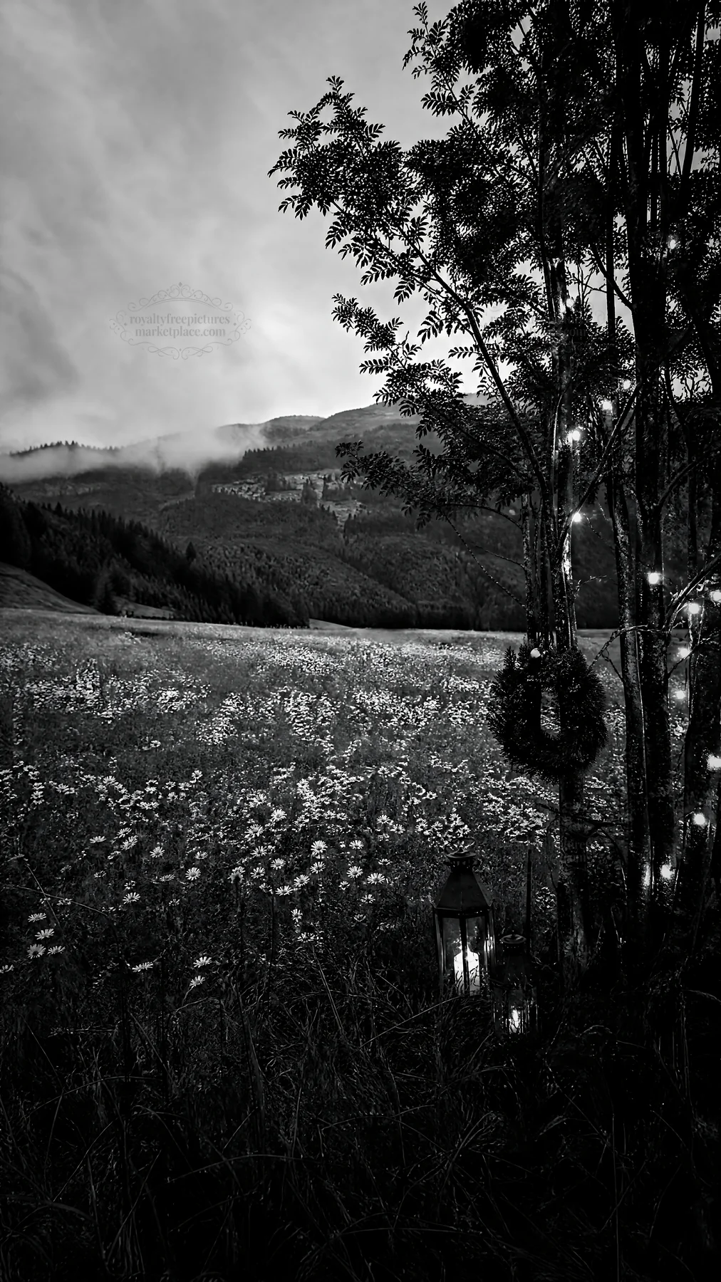 Christmas string lights in mountain valley meadow at night - AI-generated stock image