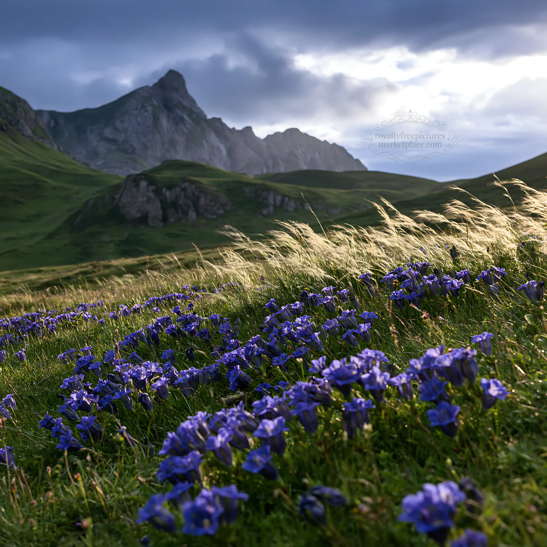 Meadow beneath crags with purple flowers and mountain backdrop - AI-generated stock image