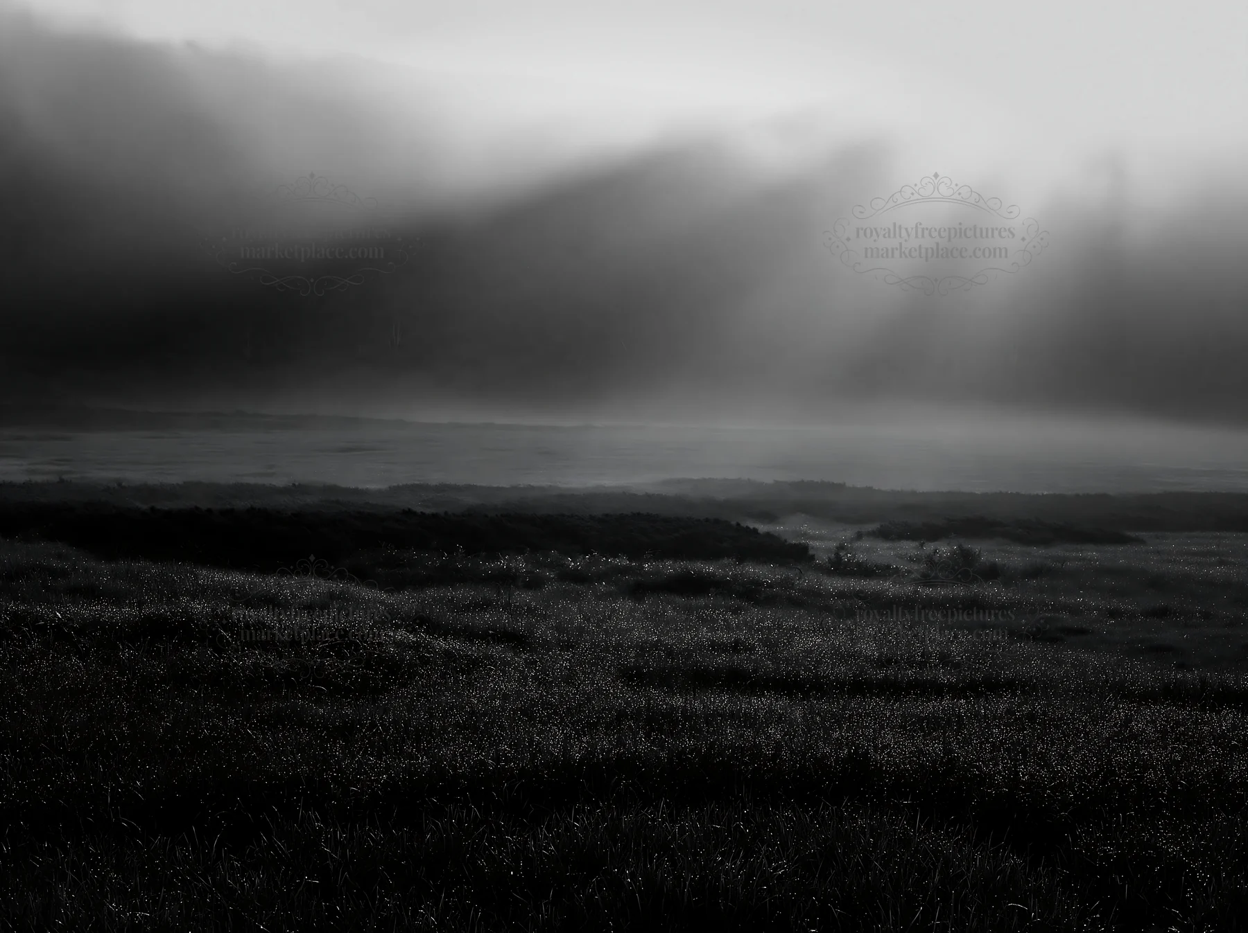 Light rays over Daisetsuzan alpine meadow during early morning - AI-generated stock image
