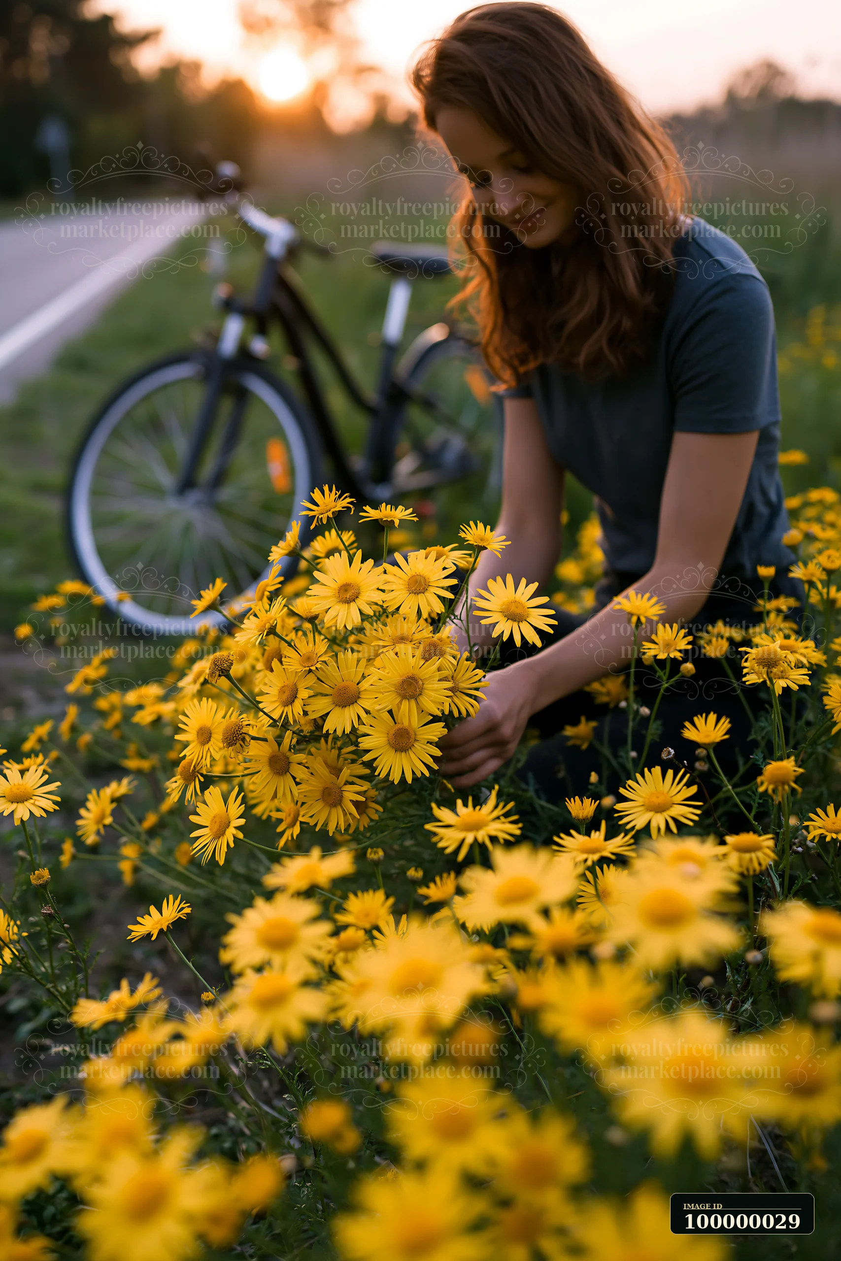 Woman gathering yellow wildflowers beside a bicycle on a rural path at sunset.