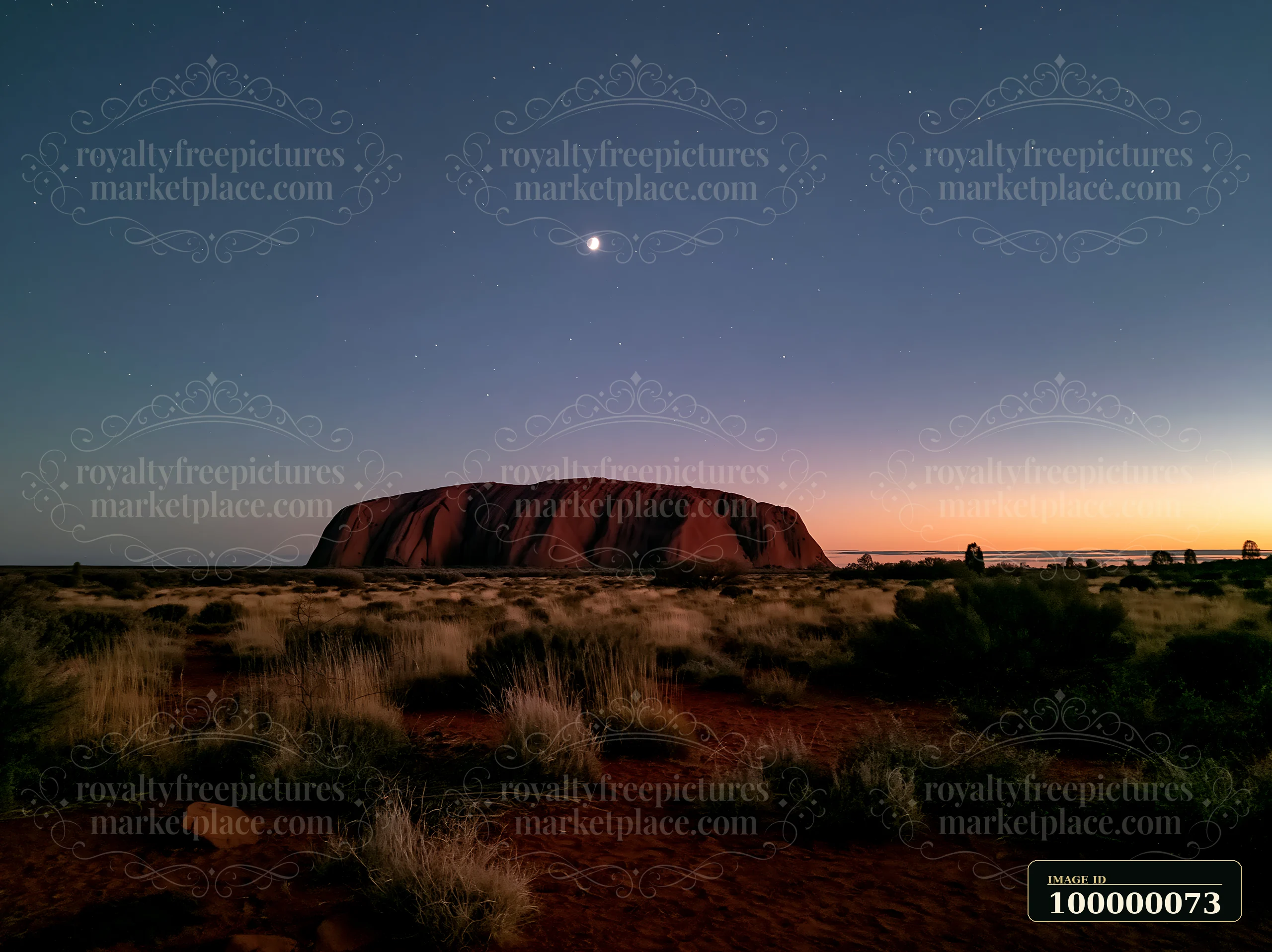Uluru rises above red desert grasses beneath a starry twilight sky and crescent moon.