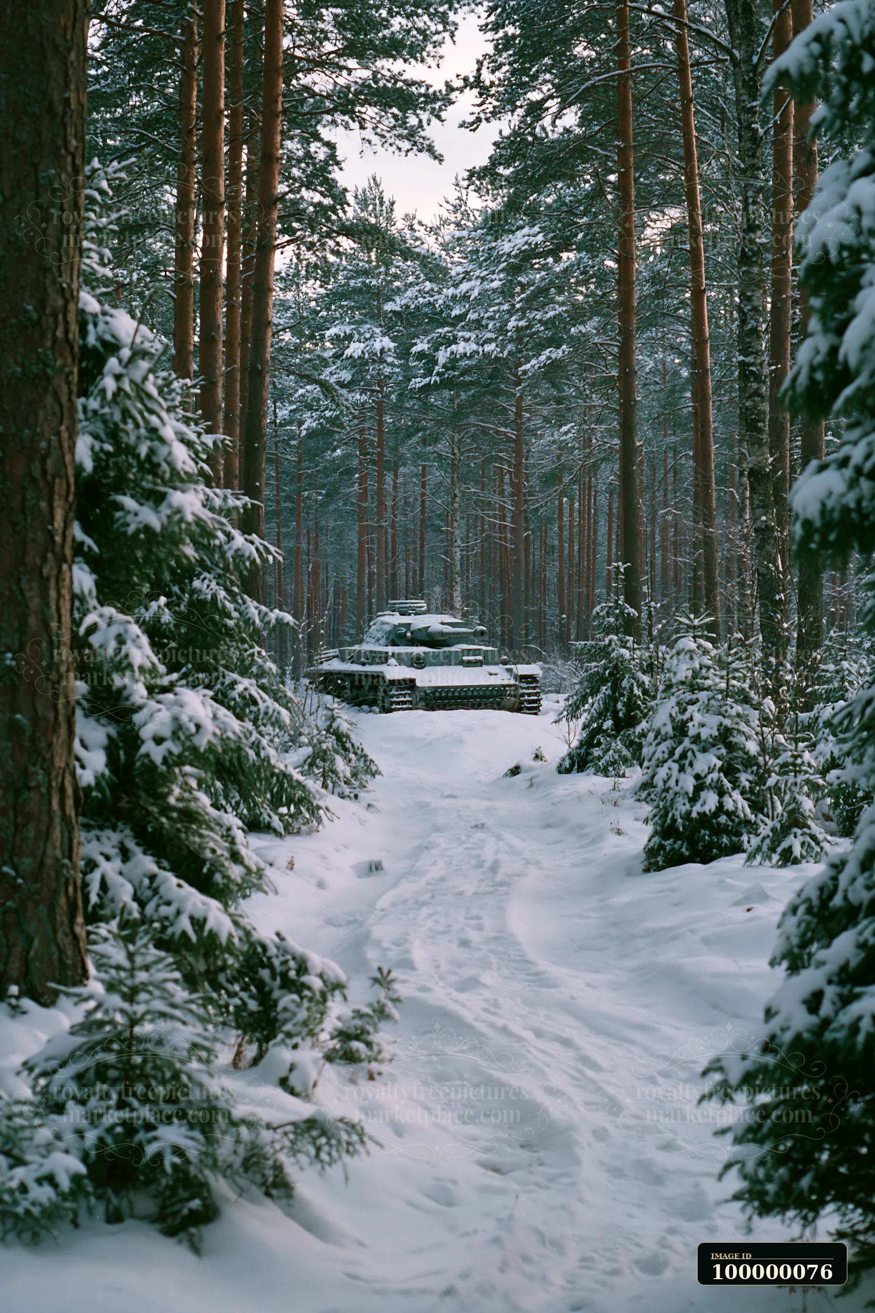 Tank positioned on a snow-covered trail in a dense evergreen forest during winter.