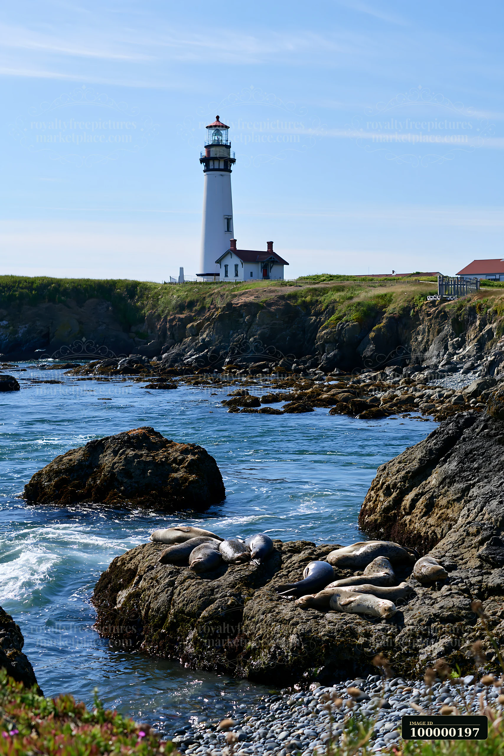 Seals rest on rocky coastal outcrops below a tall lighthouse under a clear blue sky.