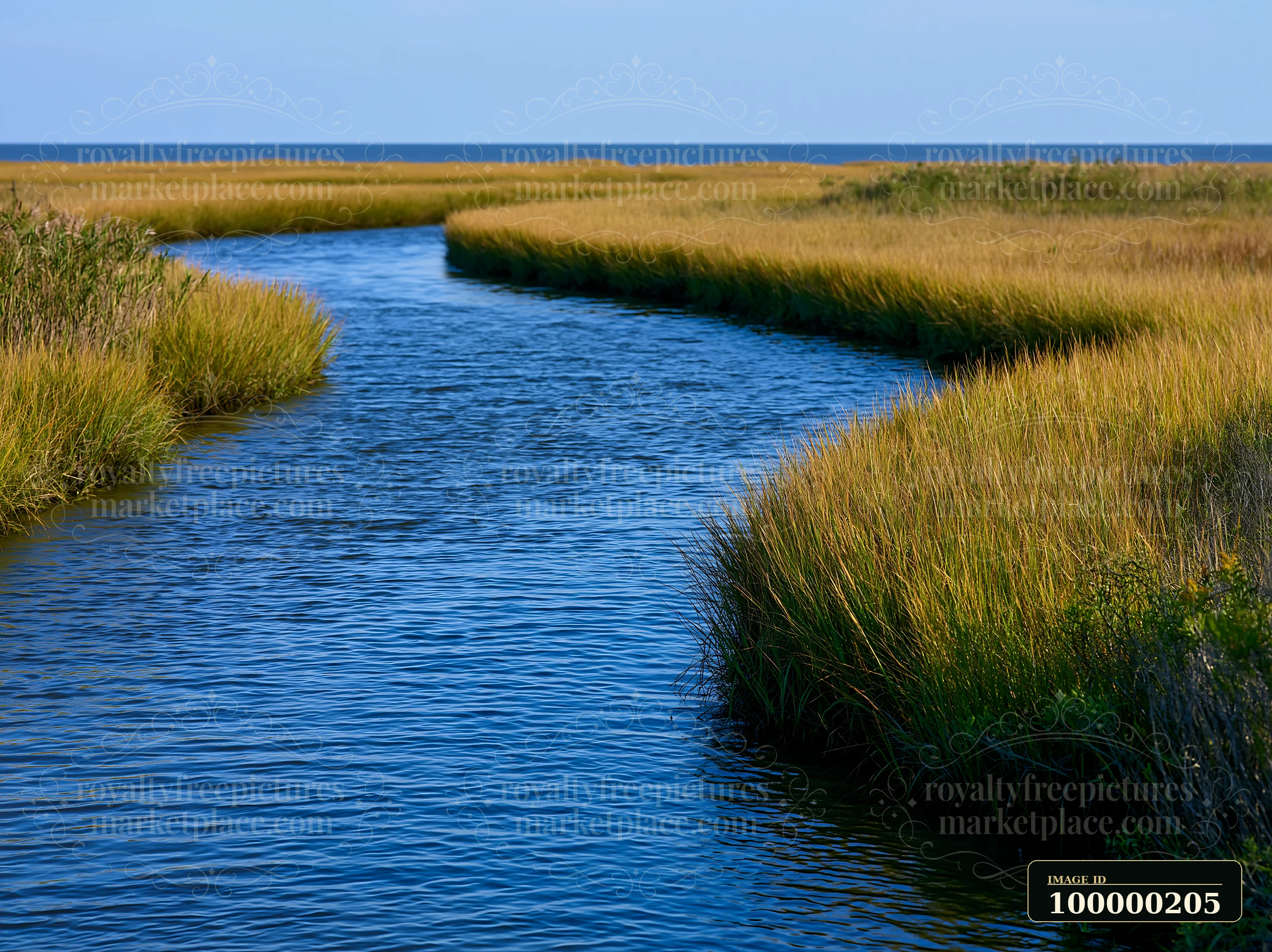 Winding tidal channel passes through tall salt marsh grasses toward a blue coastline under a clear sky.