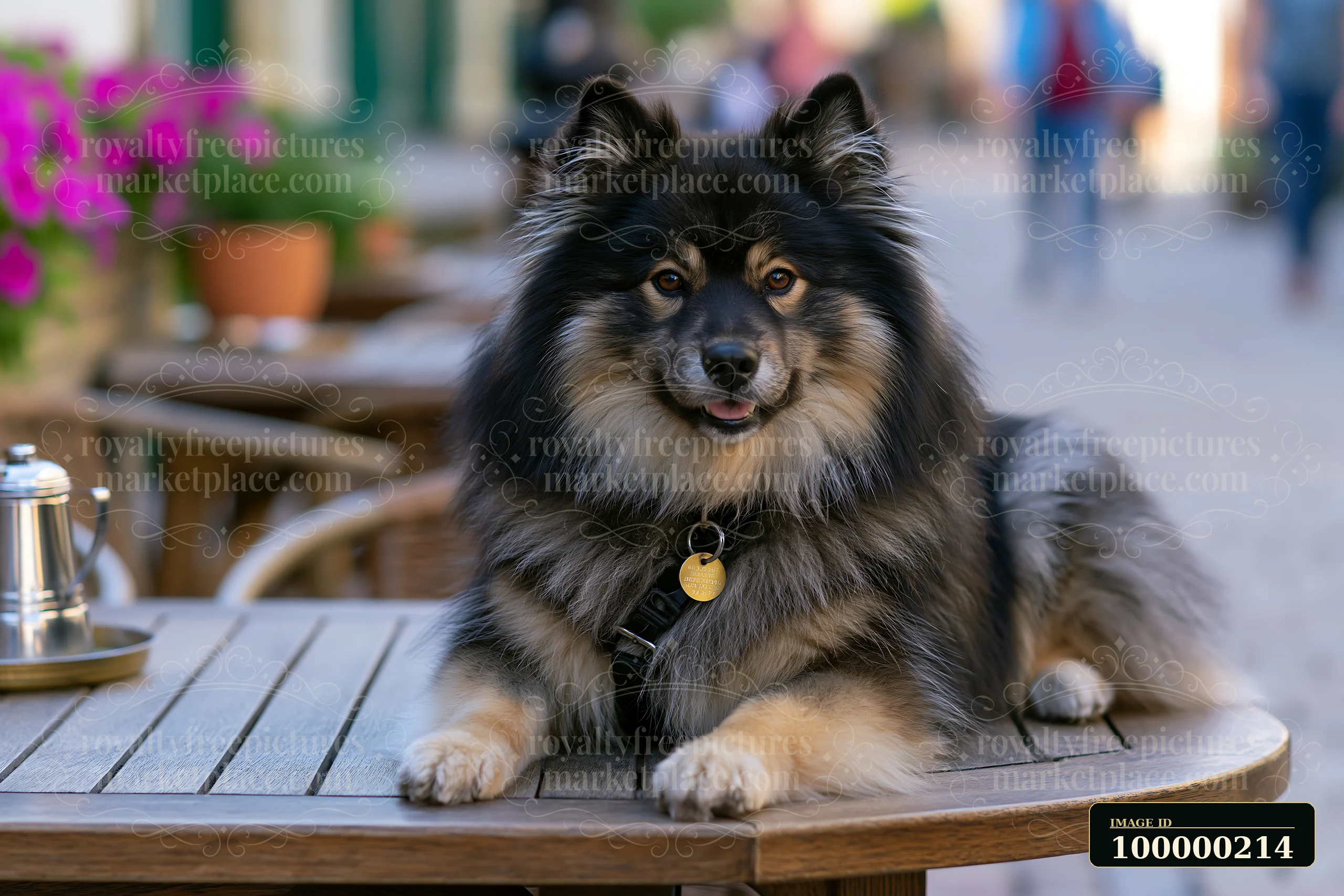 Fluffy black and tan dog resting on a wooden table at an outdoor café with flowers and blurred pedestrians.