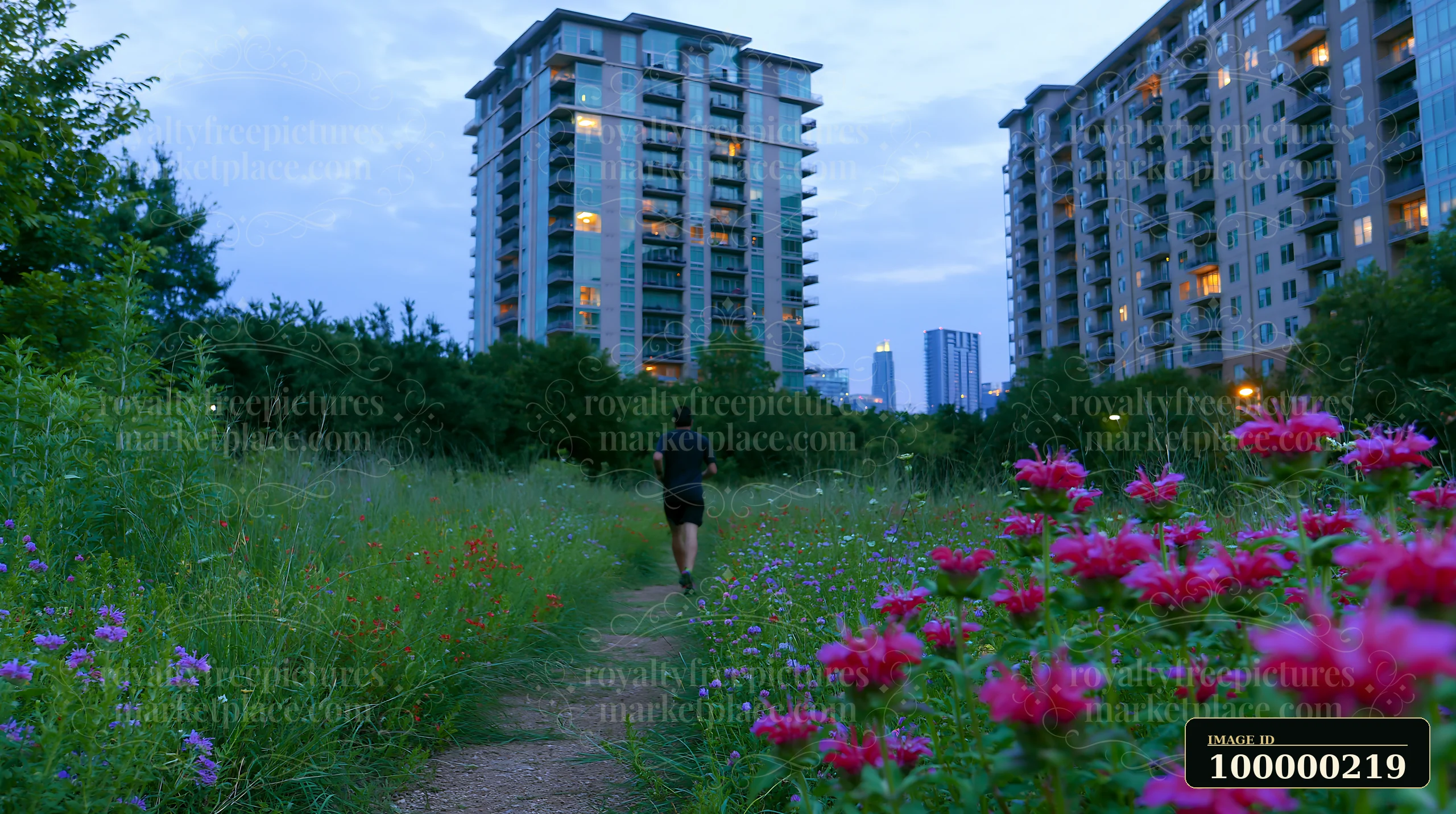 Runner follows a narrow path through a wildflower meadow between illuminated apartment buildings at dusk.