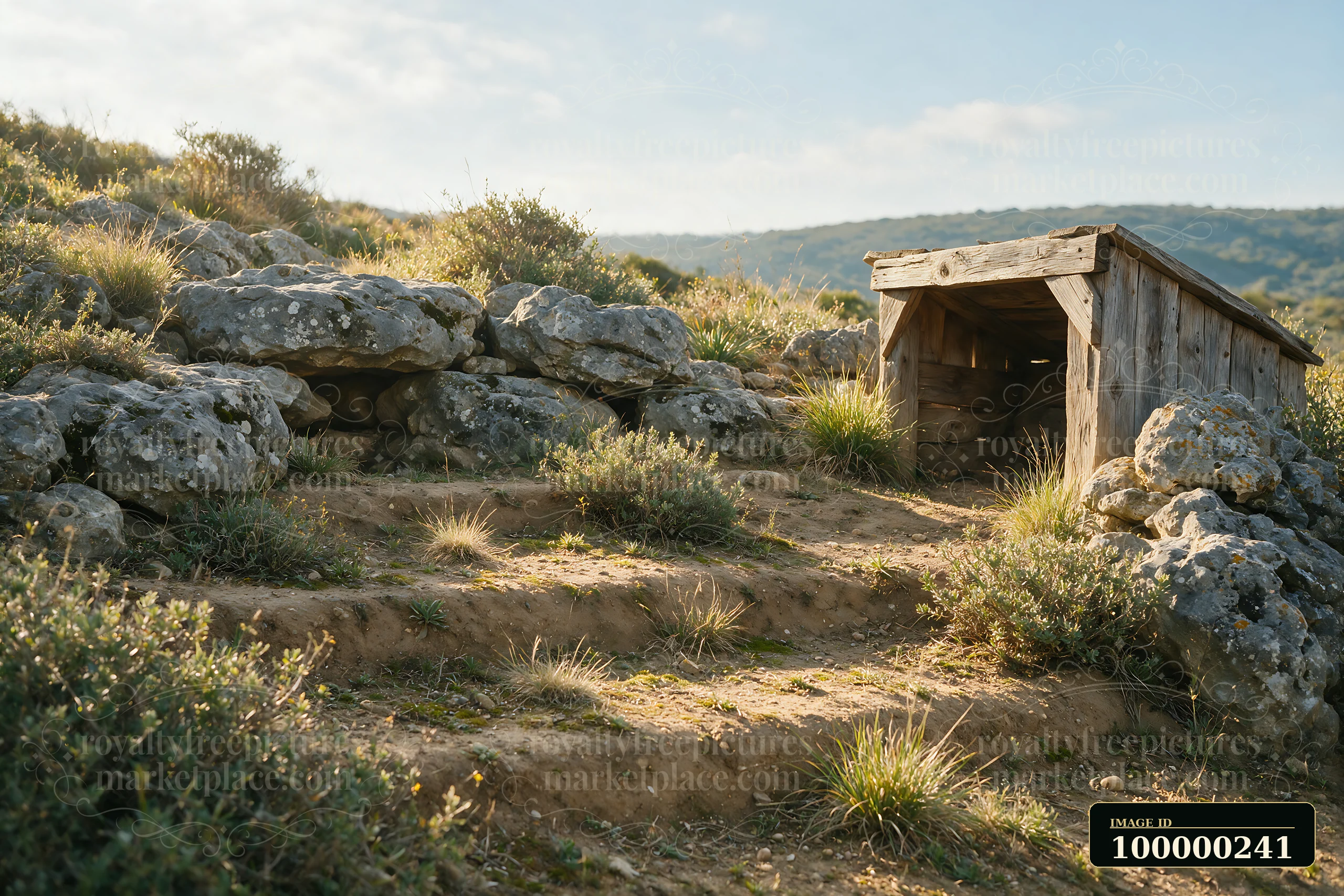 Rustic wooden tortoise shelter among rocks, grasses, and shrubs in a natural hillside enclosure.