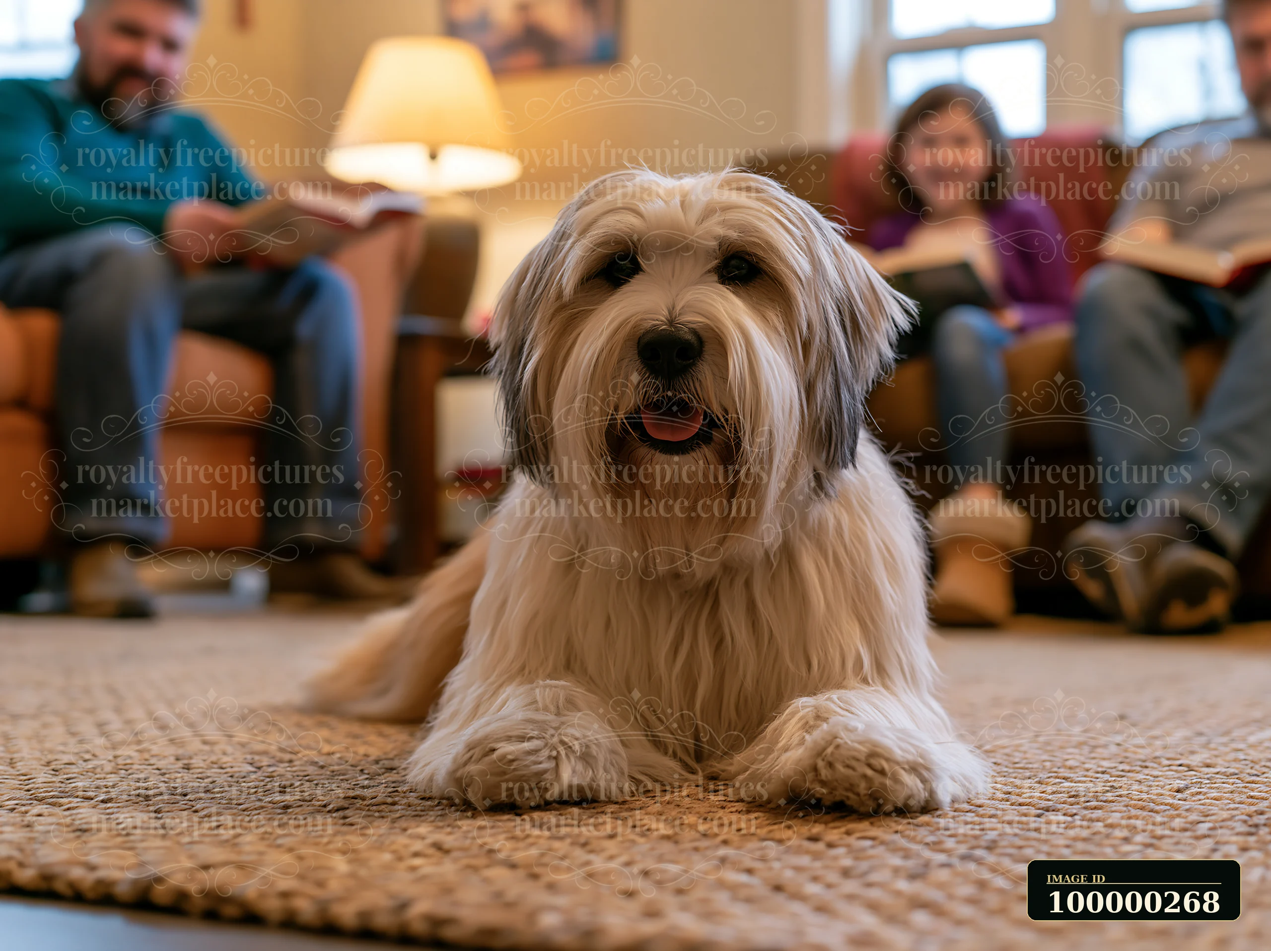 Long-haired dog lies on a woven rug while three family members sit in a warmly lit living room.