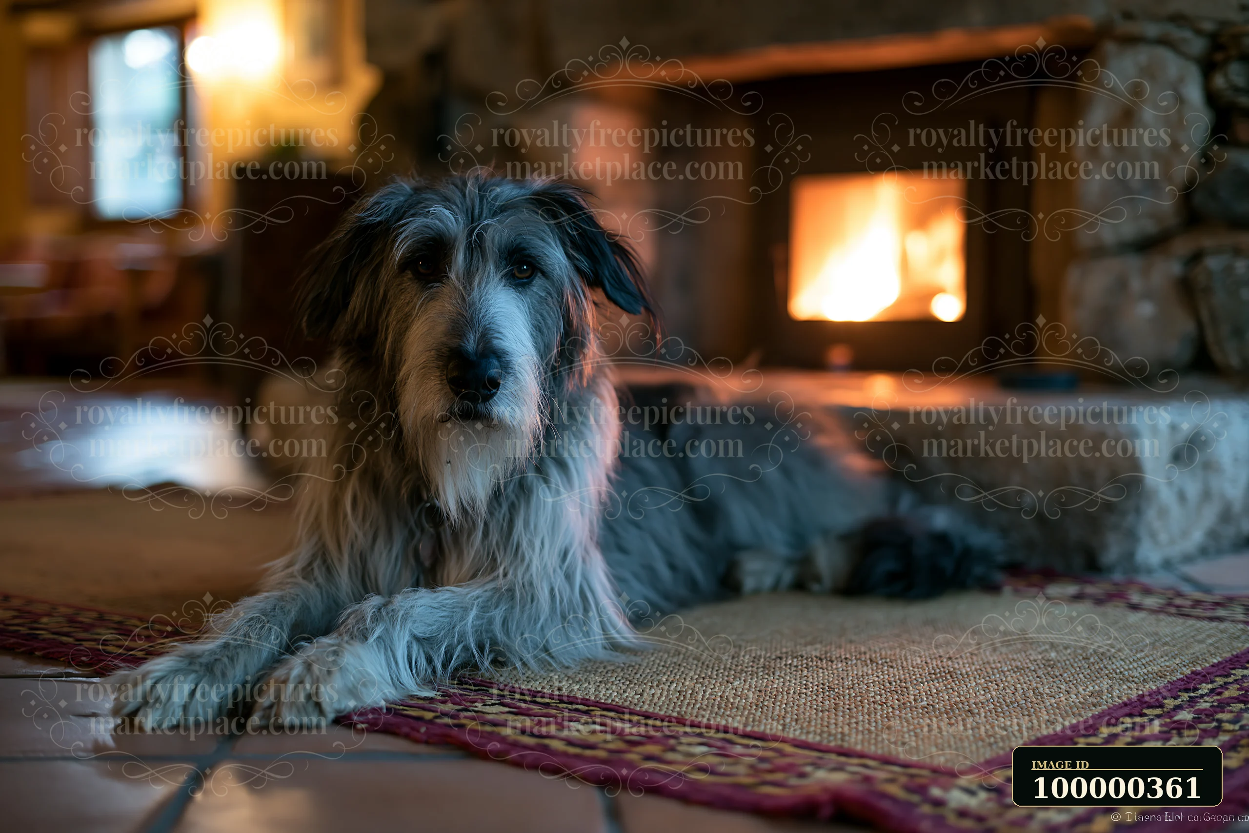 Long-haired dog lies on a patterned rug beside a glowing fireplace in a cozy room.