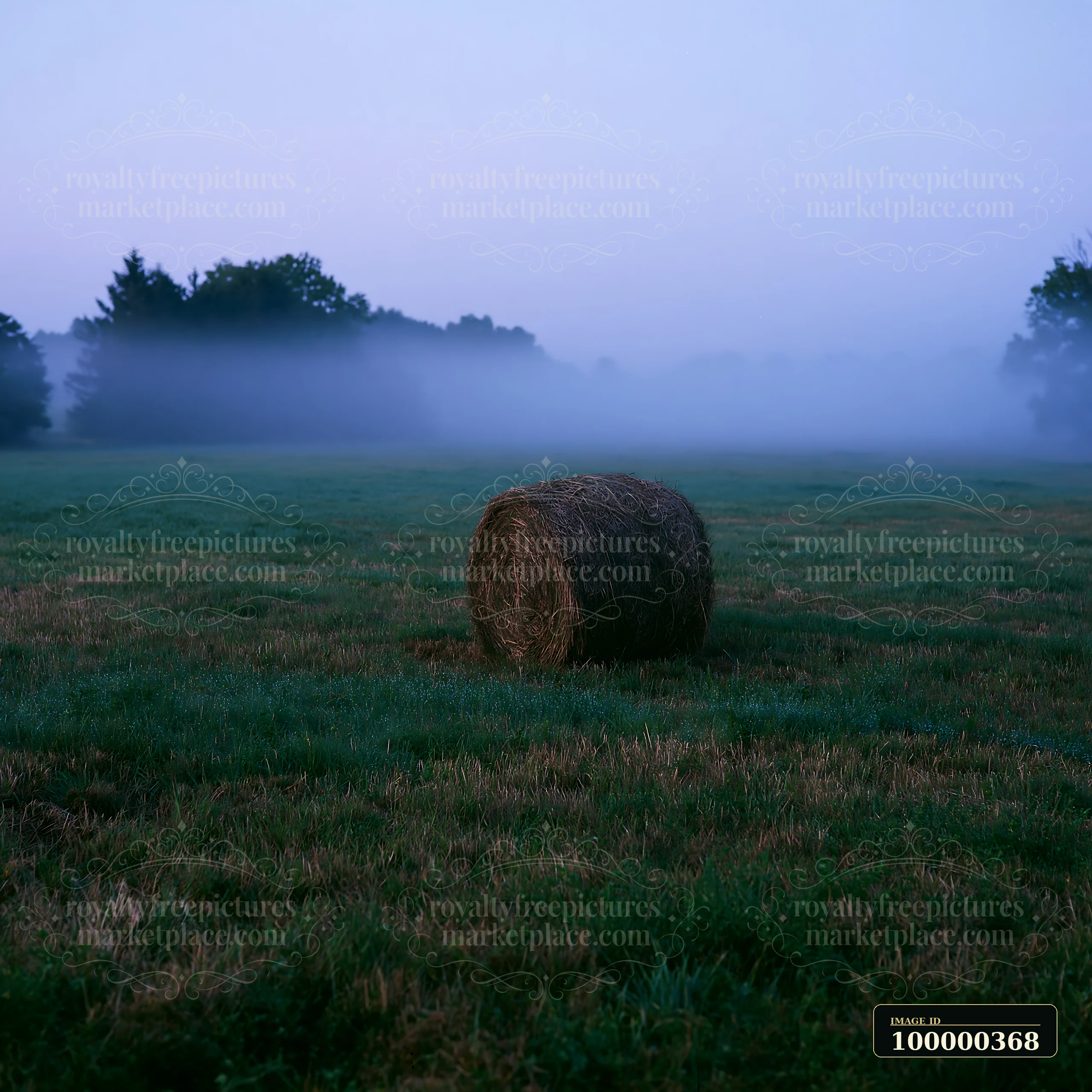 Fog drifting across meadow creates a mysterious scene with a round hay bale placed on the grass.
