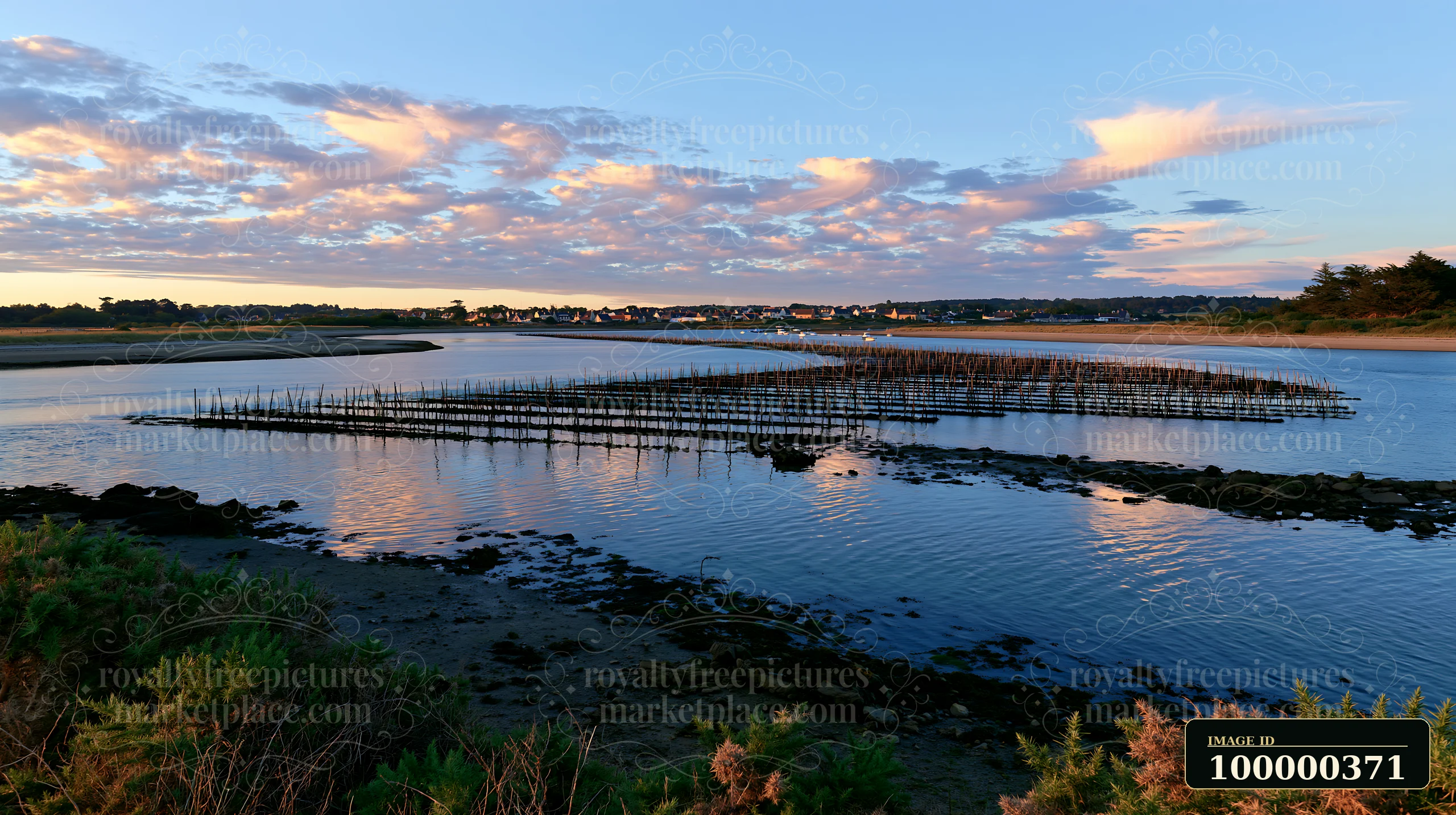 The photograph captures a coastline with mussel farms at sunset, showing structures in the water and a backdrop of buildings and clouds.