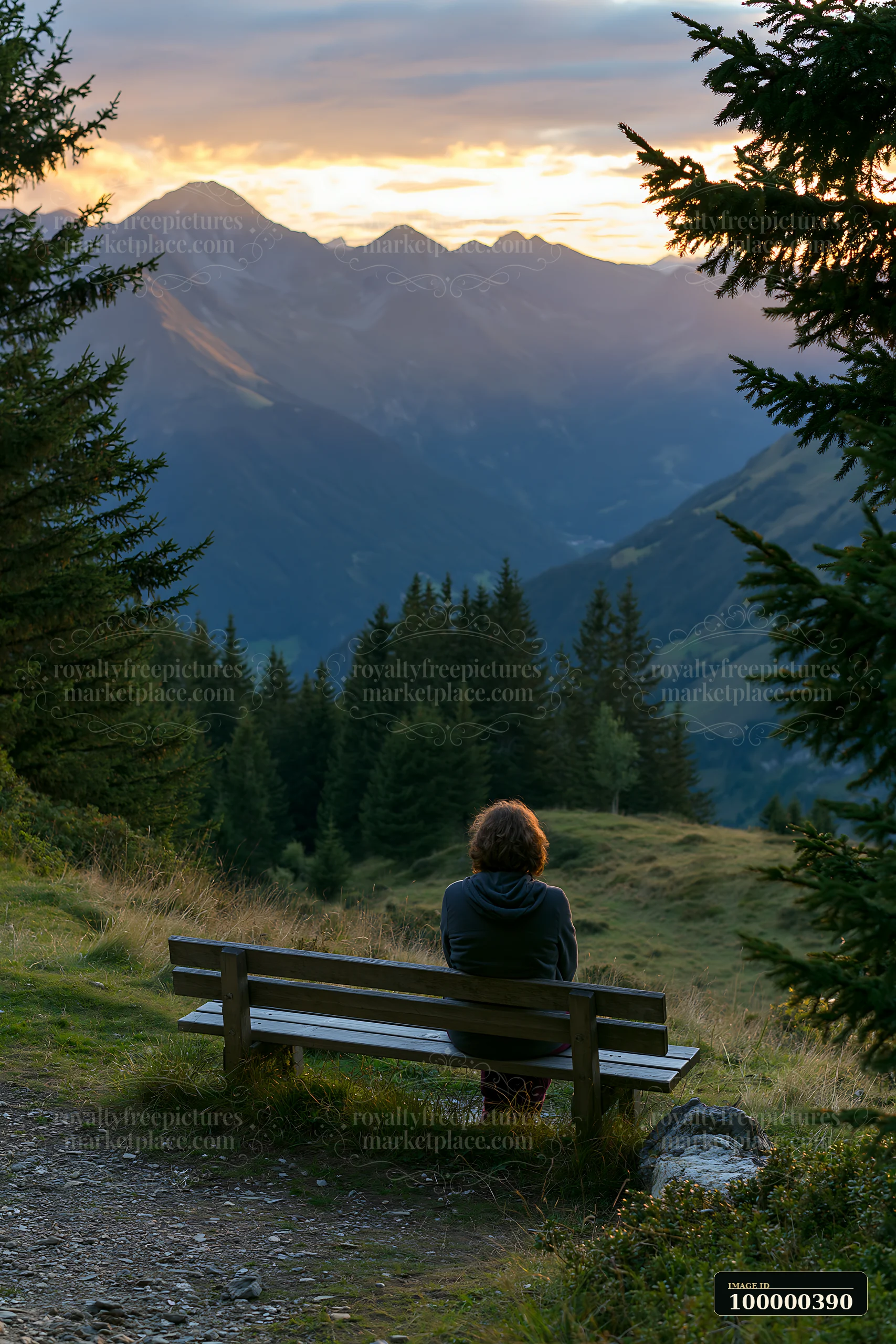 A person sits on a bench overlooking a Swiss landscape in golden light, surrounded by trees and mountains.