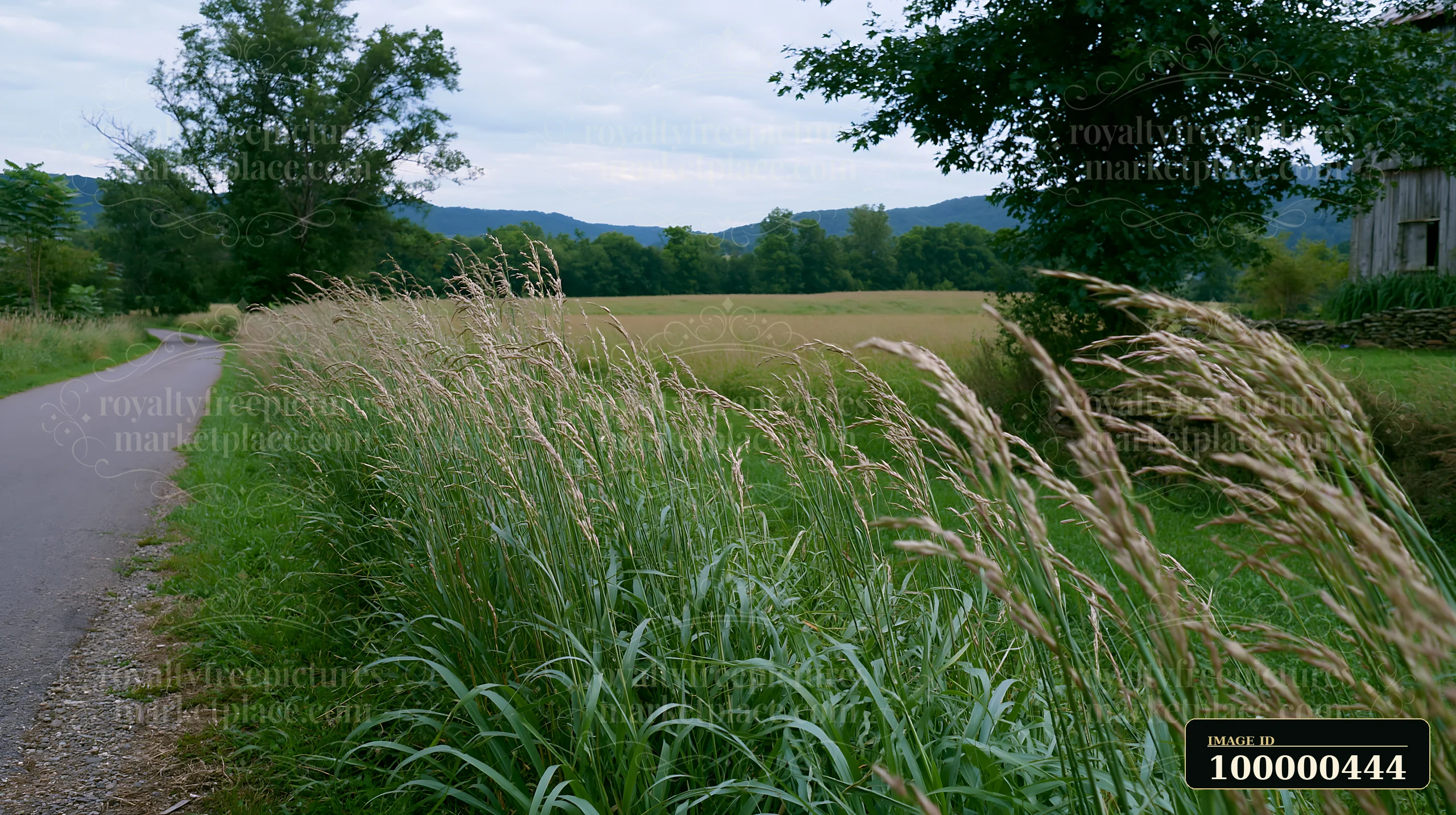 A catering buffet setup features a long table covered with food in a rural setting.