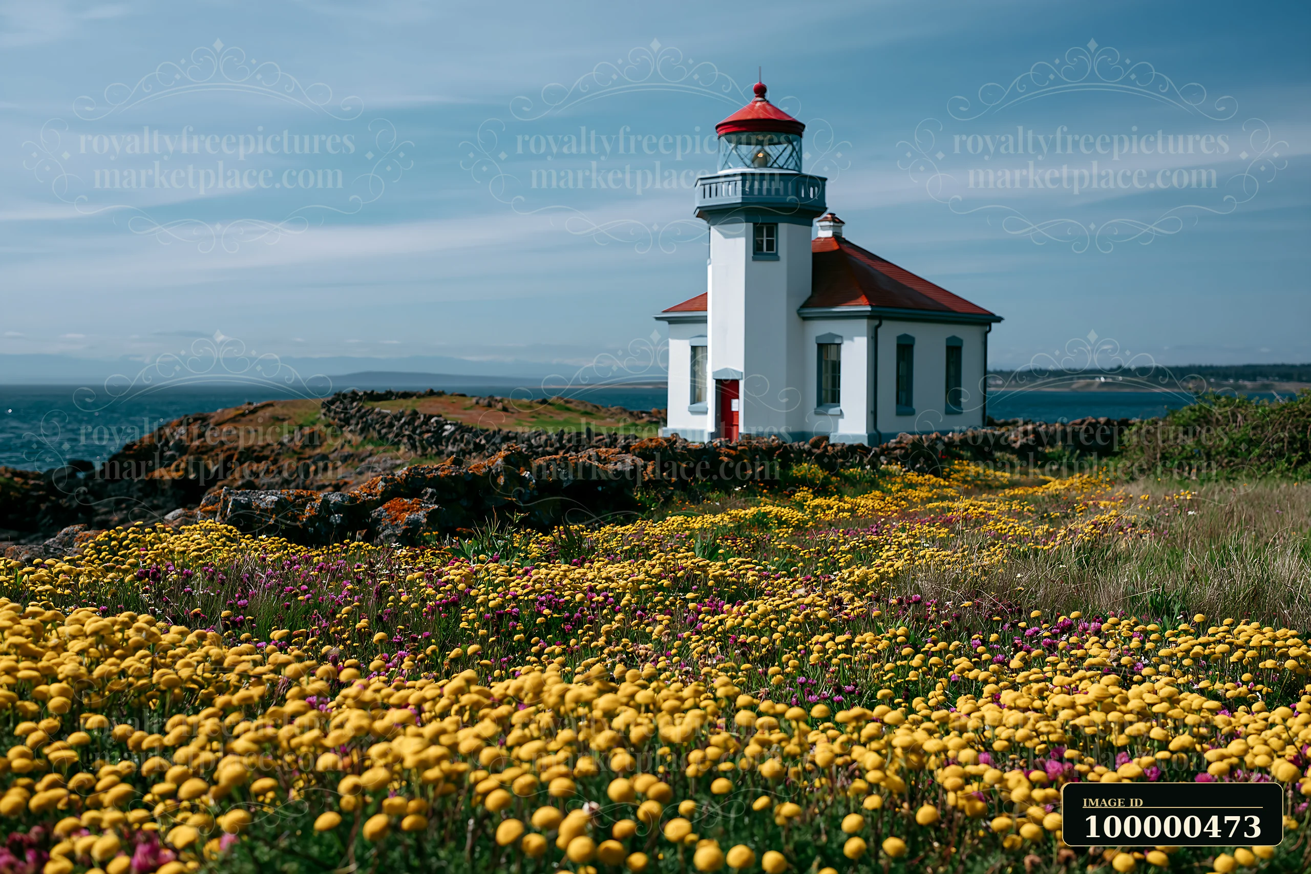 A retired soldier stands proudly in front of a lighthouse surrounded by colorful wildflowers.