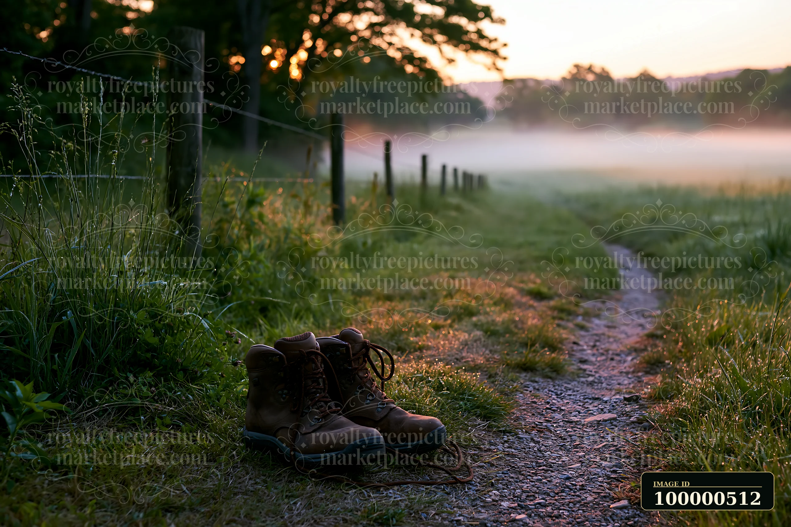 Sunbeams over a misty meadow highlight a pair of hiking boots placed by a dirt path.