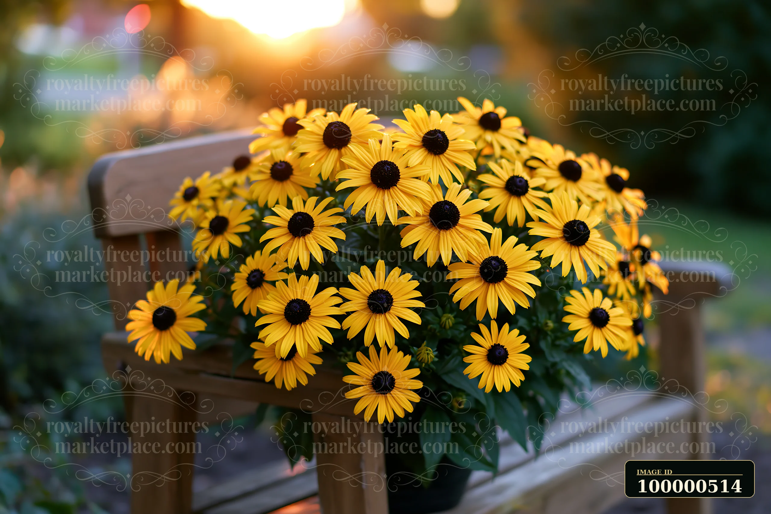 A pot filled with bright sunflowers rests on a wooden bench.