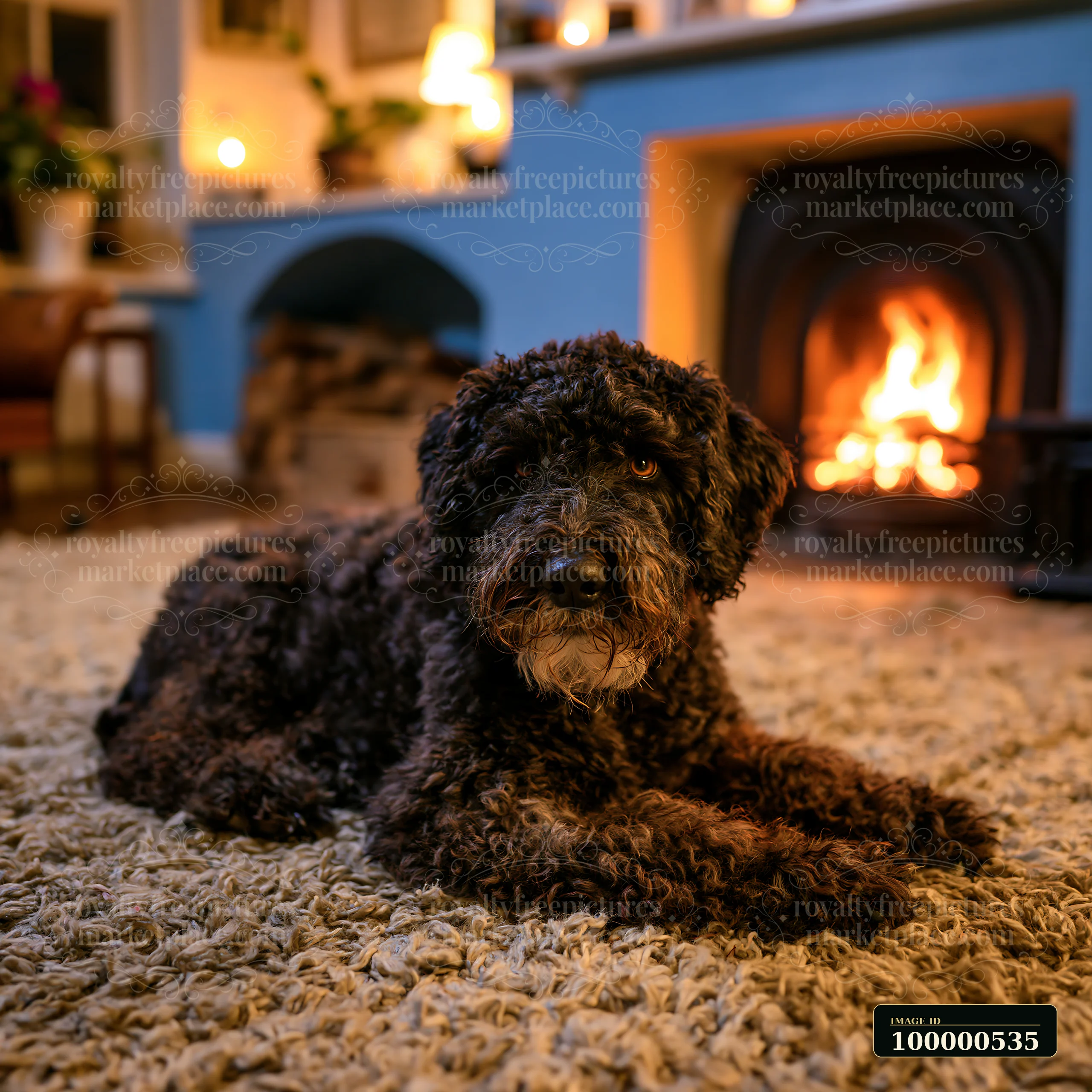 A rare dog breed is relaxing by a warm fireplace in a cozy room filled with soft lighting and a plush rug.