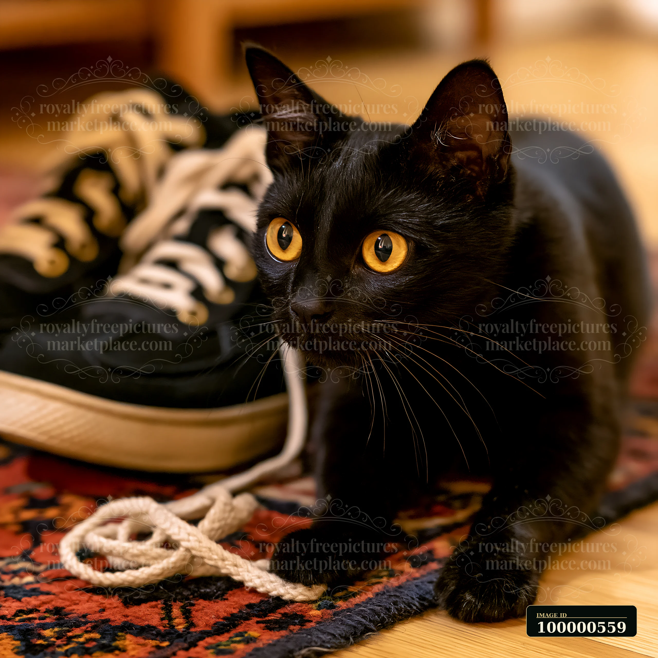 A black cat with bright yellow eyes is curiously watching shoelaces on a patterned carpet.