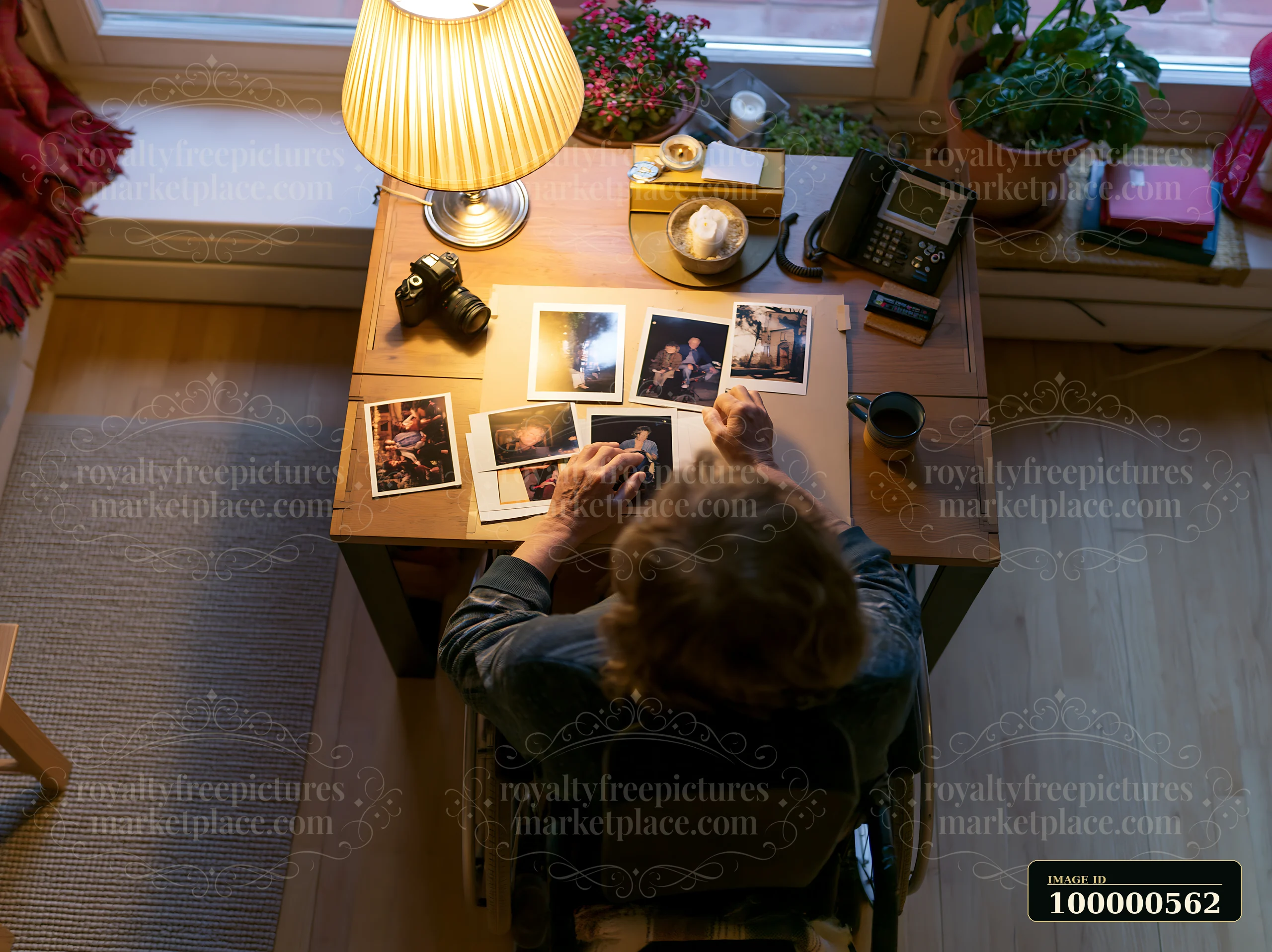 A person with muscular dystrophy using a wheelchair looks at old photographs on a desk.