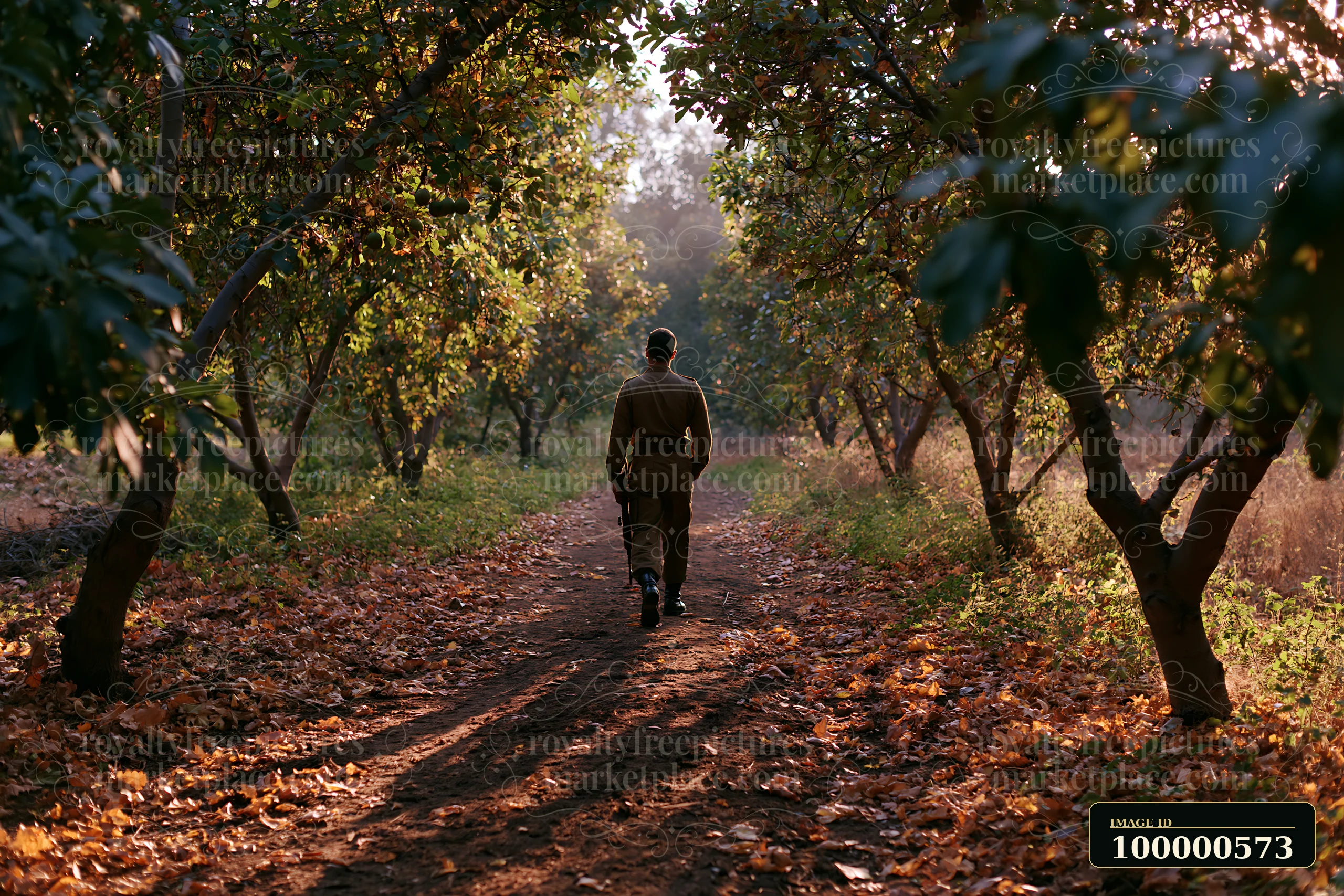 A soldier shadow on ground is visible as a figure walks along a dirt path in an orchard.