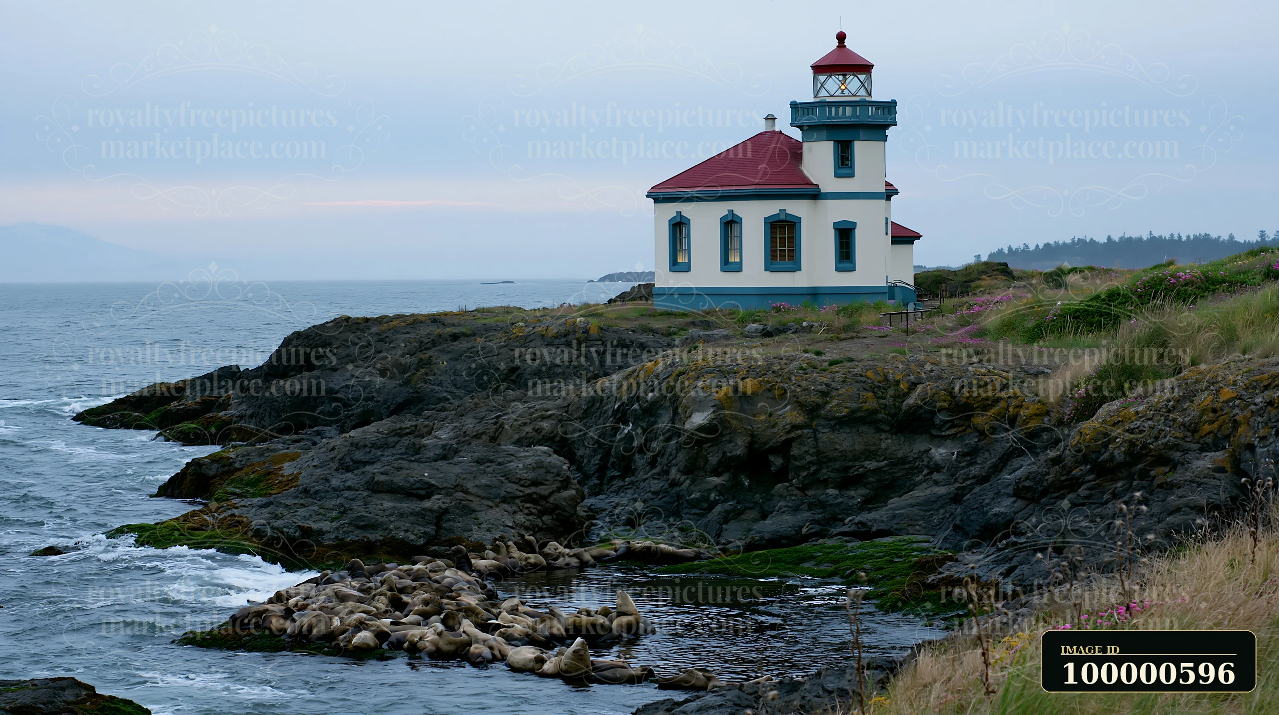 A lighthouse stands near seals resting on rocks along the coastline.