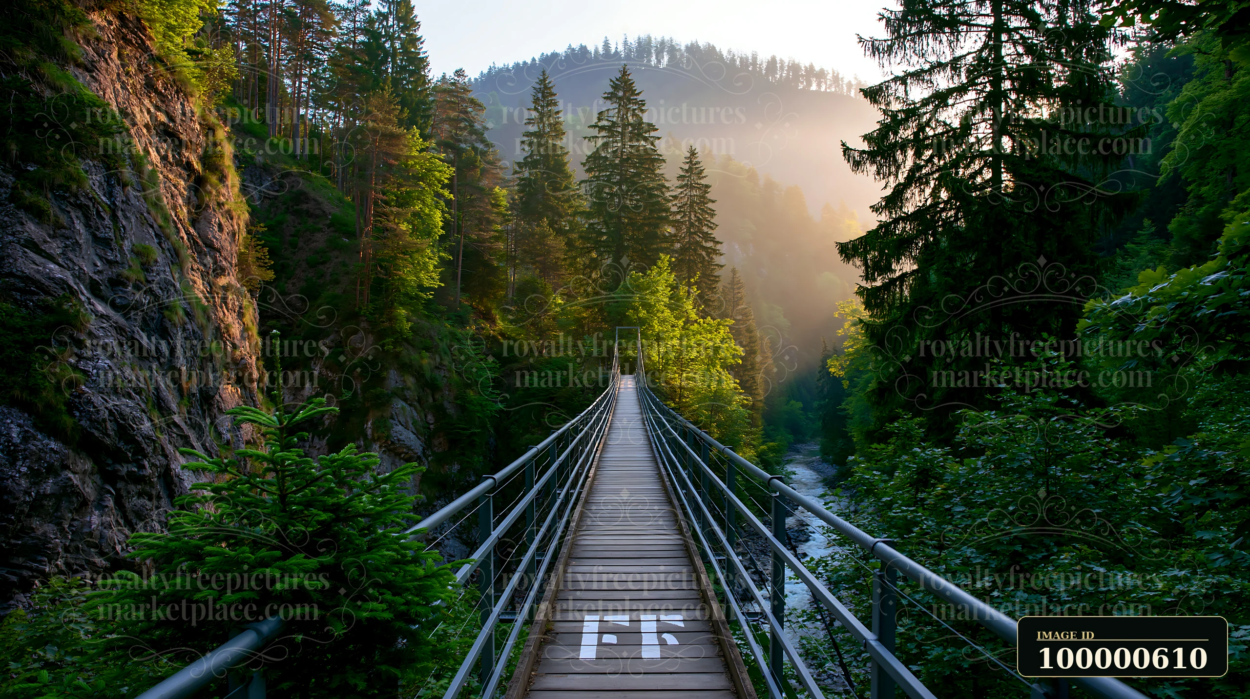 A bridge spans a river in a dense forest as golden light filters through trees in the Swiss landscape.