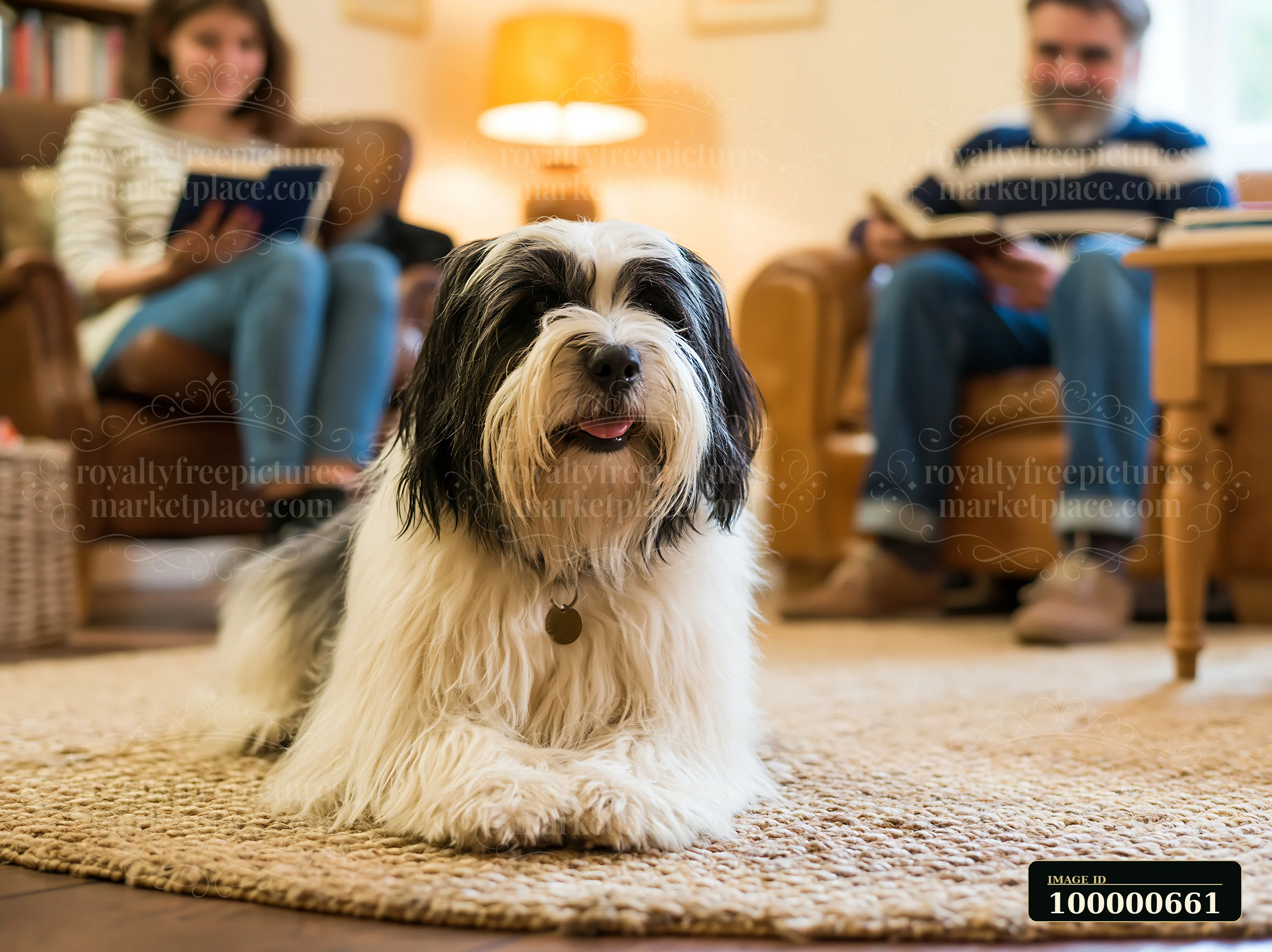 A rare dog breed family with dog relaxes on a rug while two adults read books in a comfortable living room.