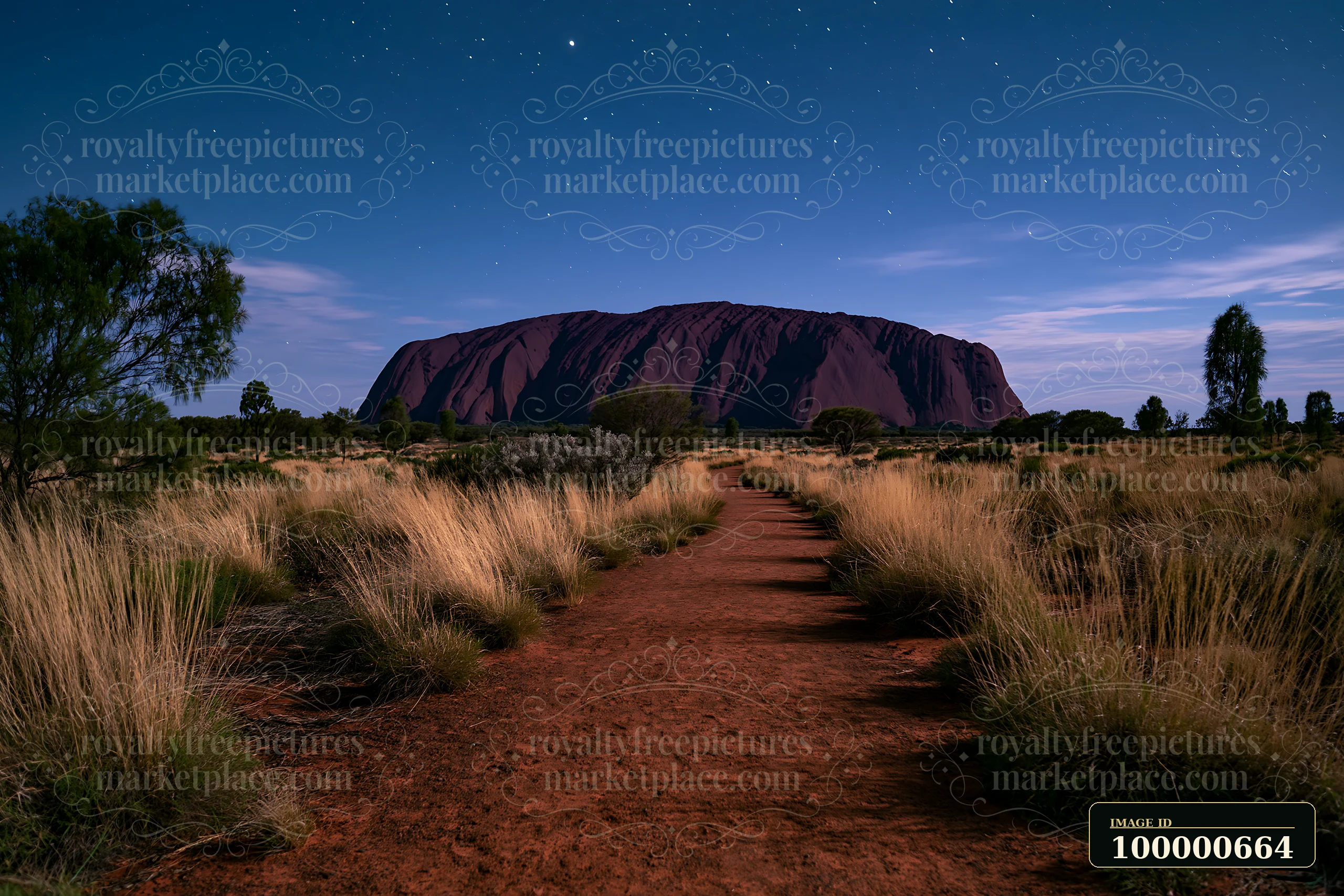 Uluru stands prominently against a starry night sky with a dirt path leading towards it.