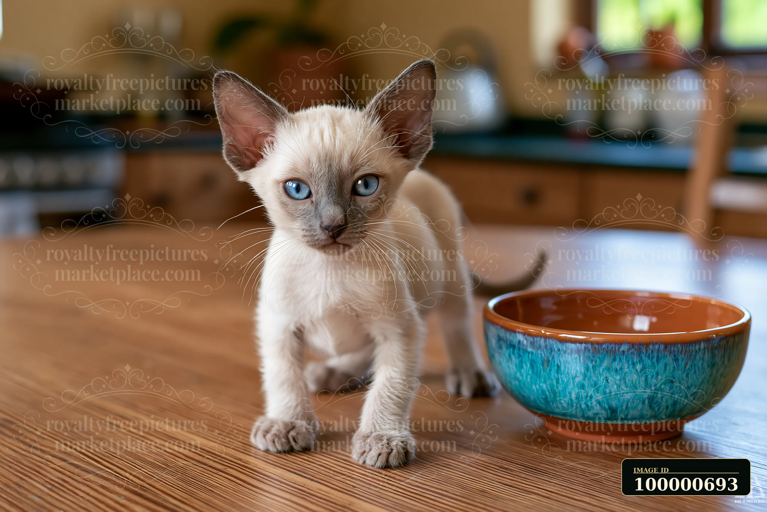 A Siamese kitten walks across a wooden table near a blue bowl.