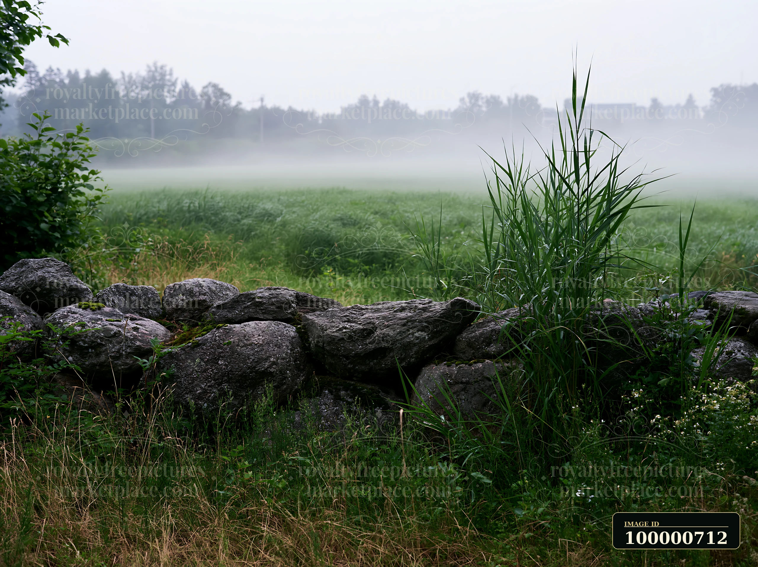Fog drifts across a meadow while a rocky stone wall lines the edge.
