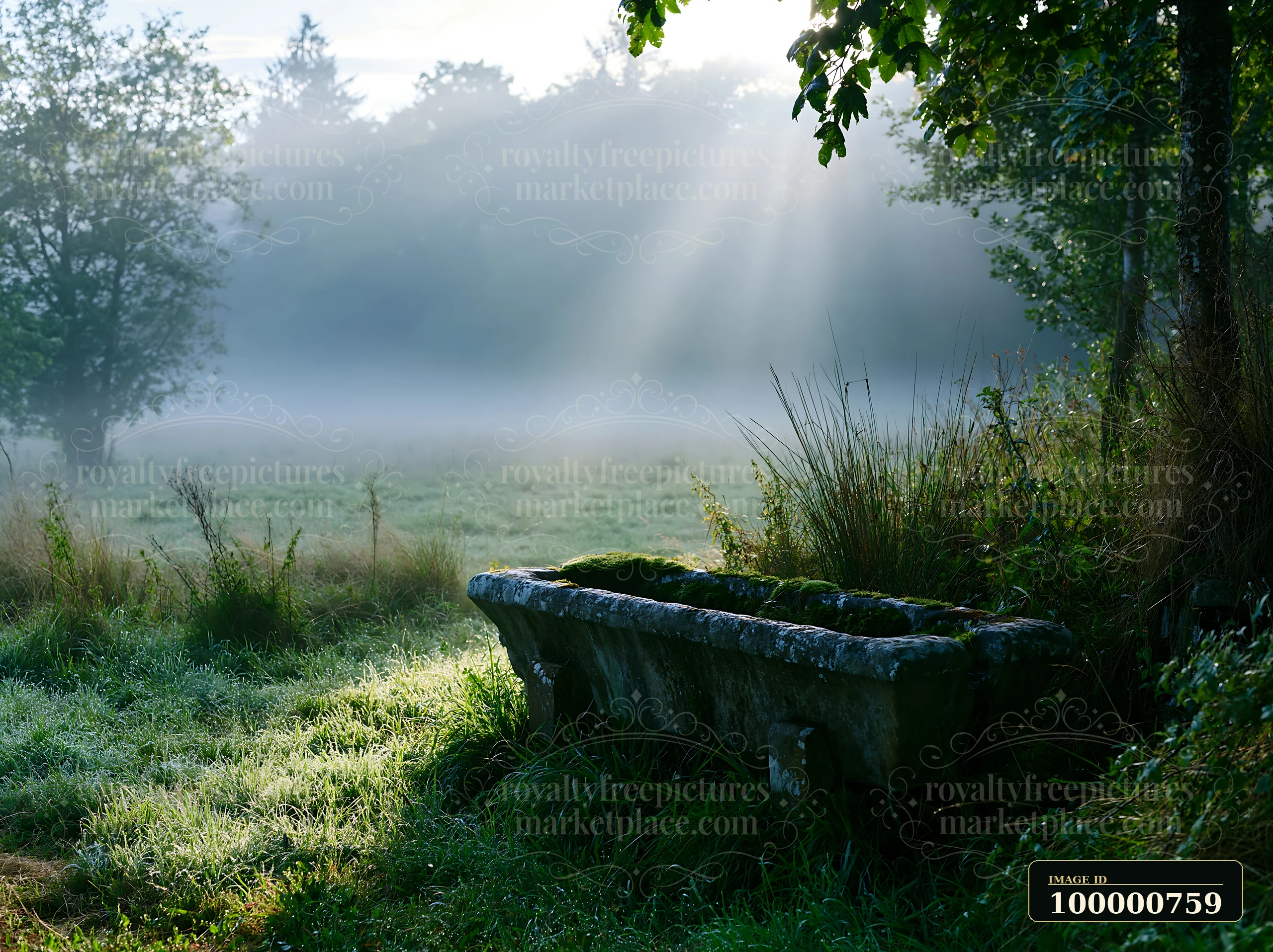 A moss-covered stone bench sits in a field at sunrise.