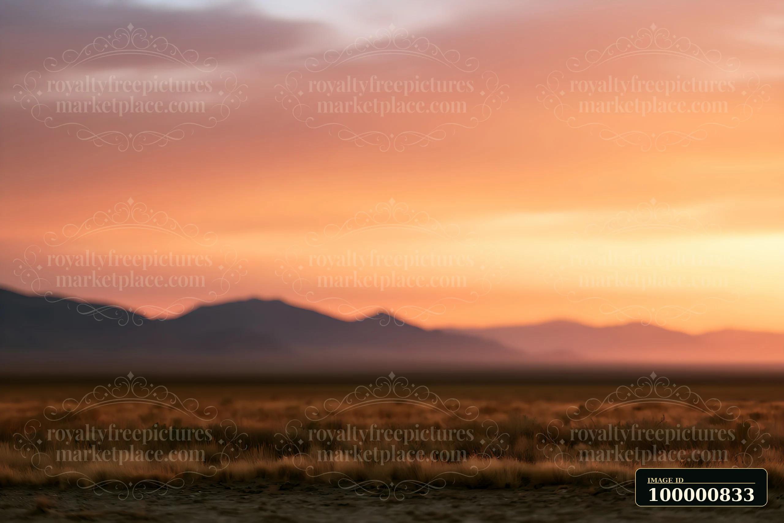 A warm sunset paints the sky in orange and purple hues over a wide grassland, with mountains silhouetted on the horizon.