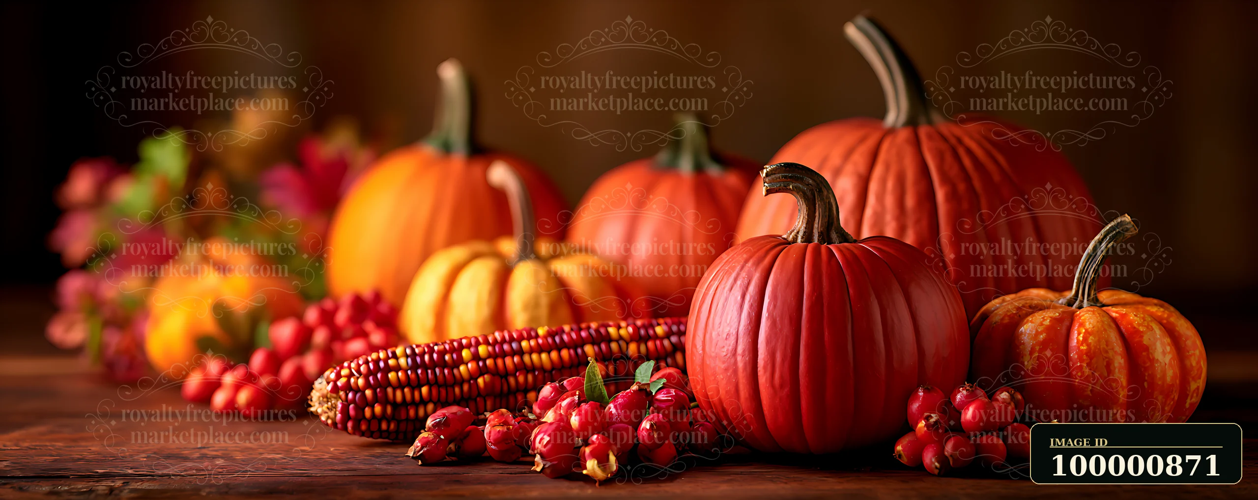 Various pumpkins, gourds, and an ear of colorful corn are displayed on a wooden surface.