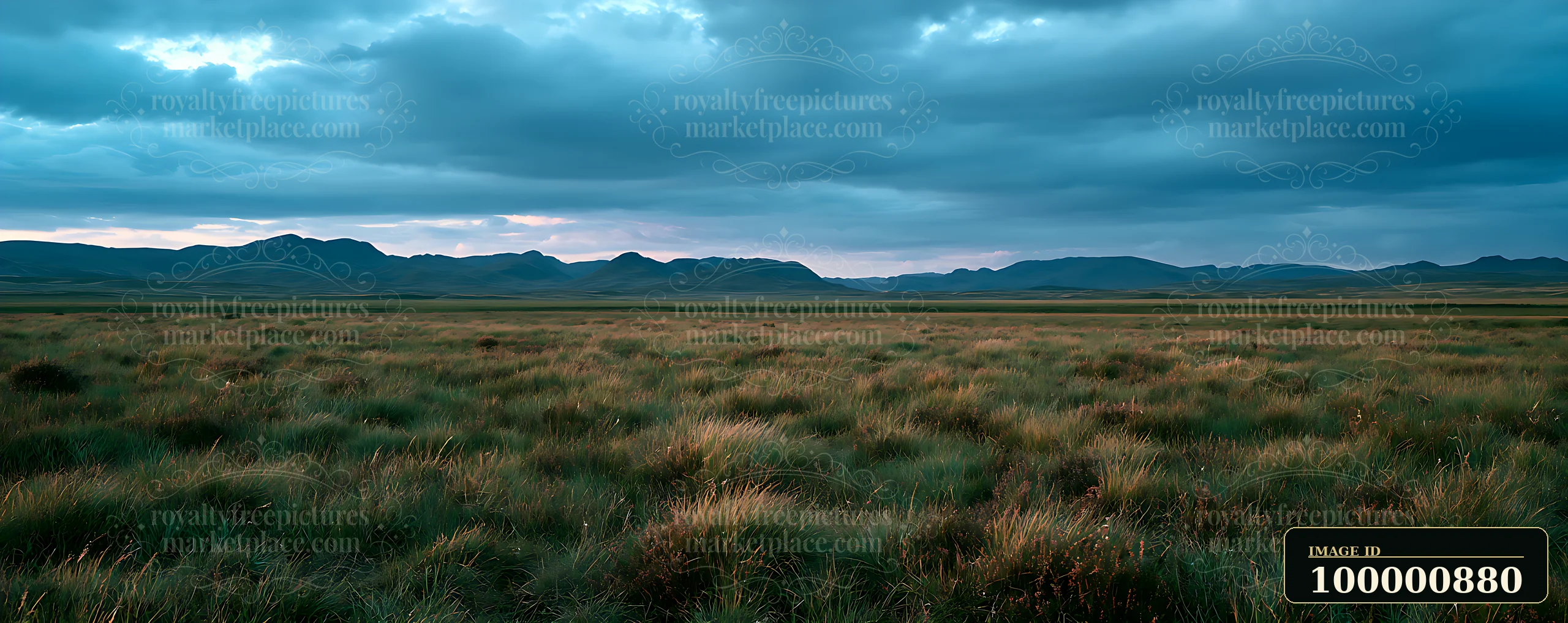 Long grass covers the landscape as dark clouds gather above the distant mountains during twilight.