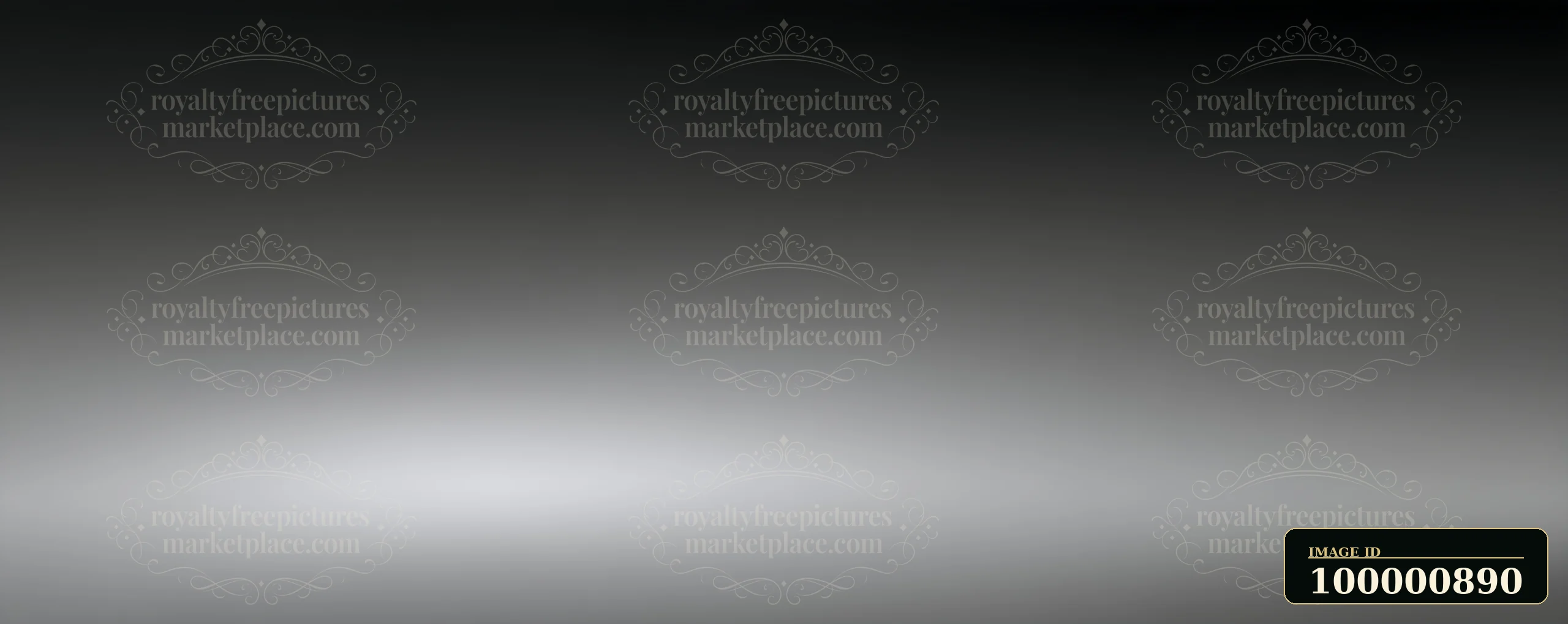 This scene features a smooth gradient background transitioning from dark to light gray, creating a subtle and modern visual effect suitable for various design a