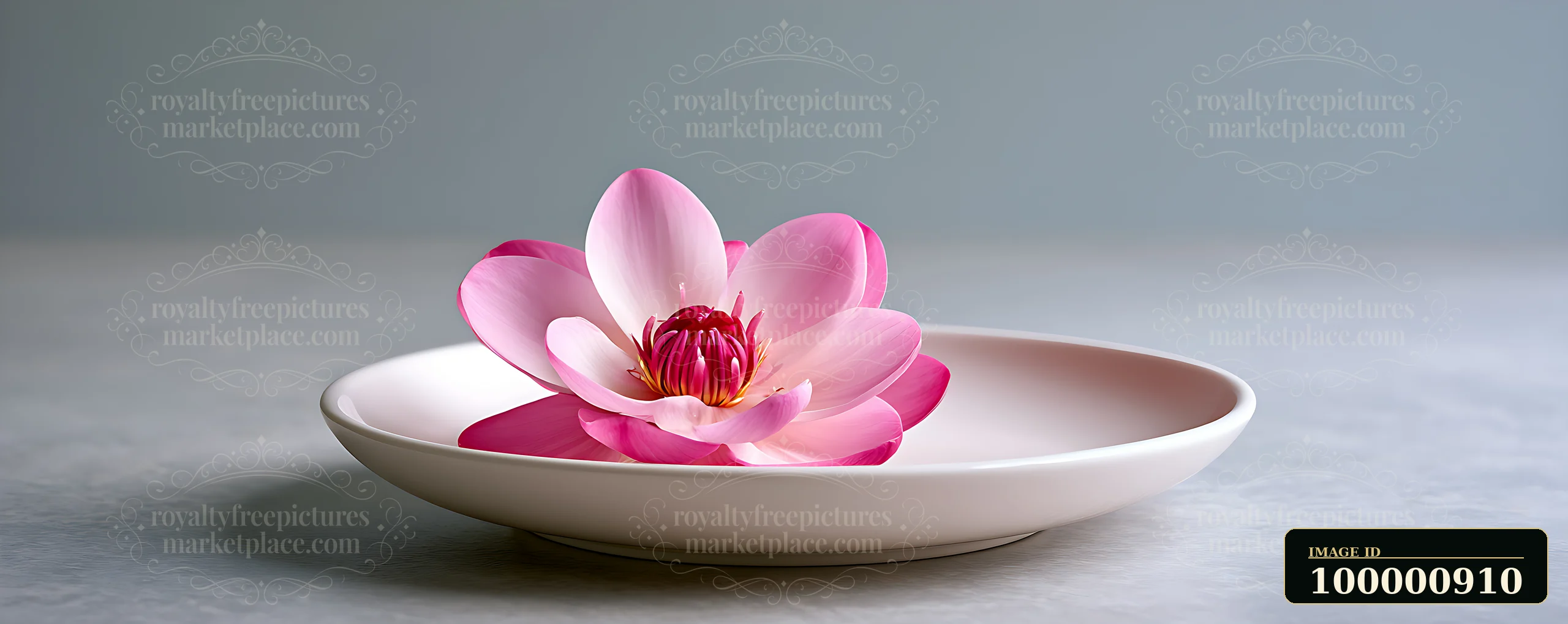 A pink lotus flower rests on a smooth plate, showcasing its petals and center.