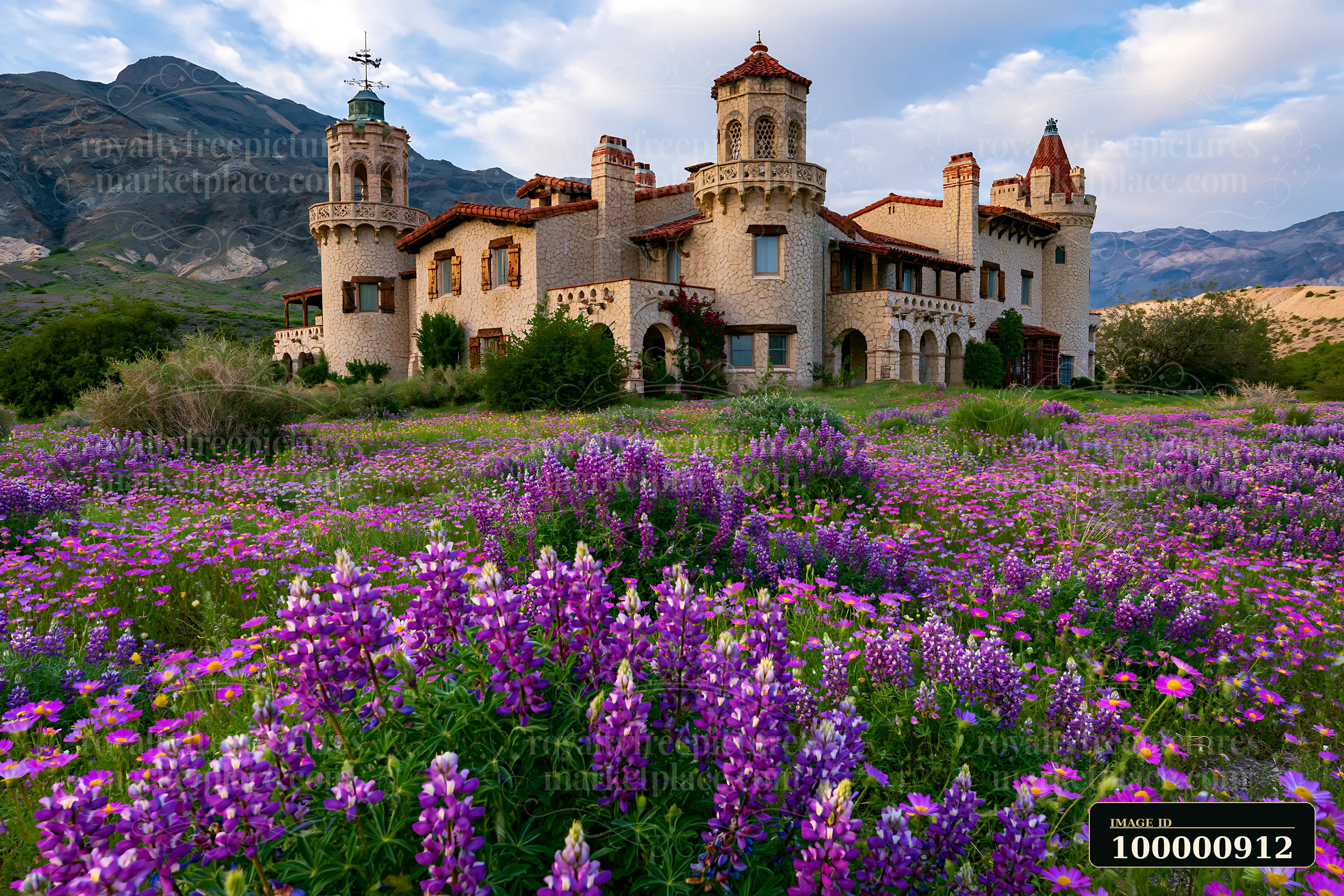 A large mansion stands amidst colorful wildflowers in a natural setting.