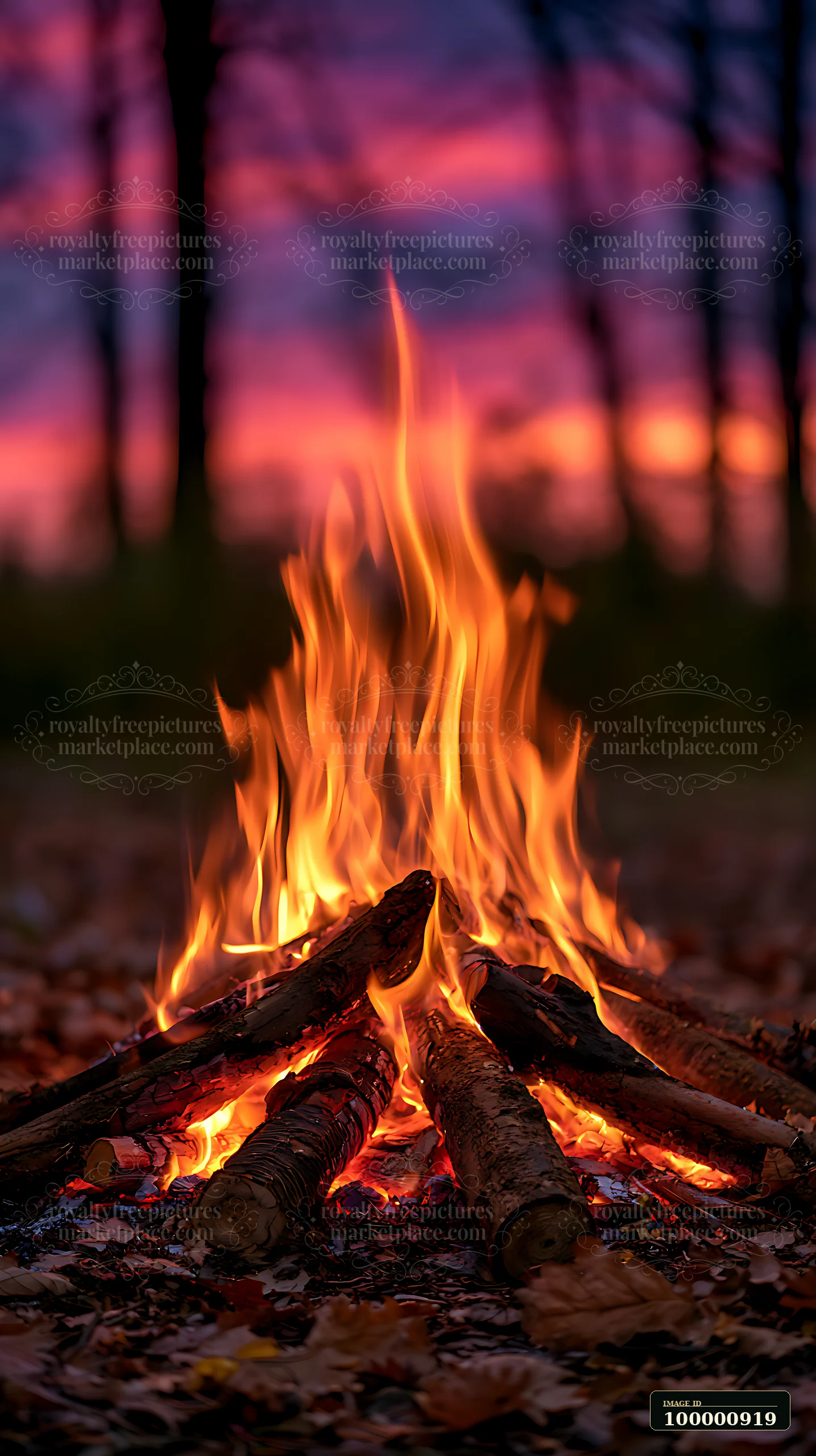 A campfire burns brightly with flames rising high against a backdrop of vibrant colors in the sky, surrounded by trees in the evening light.