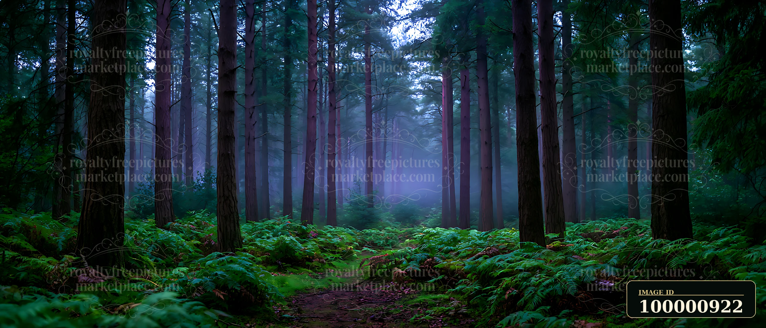 A forest path leads through tall trees and lush green ferns under a misty sky.