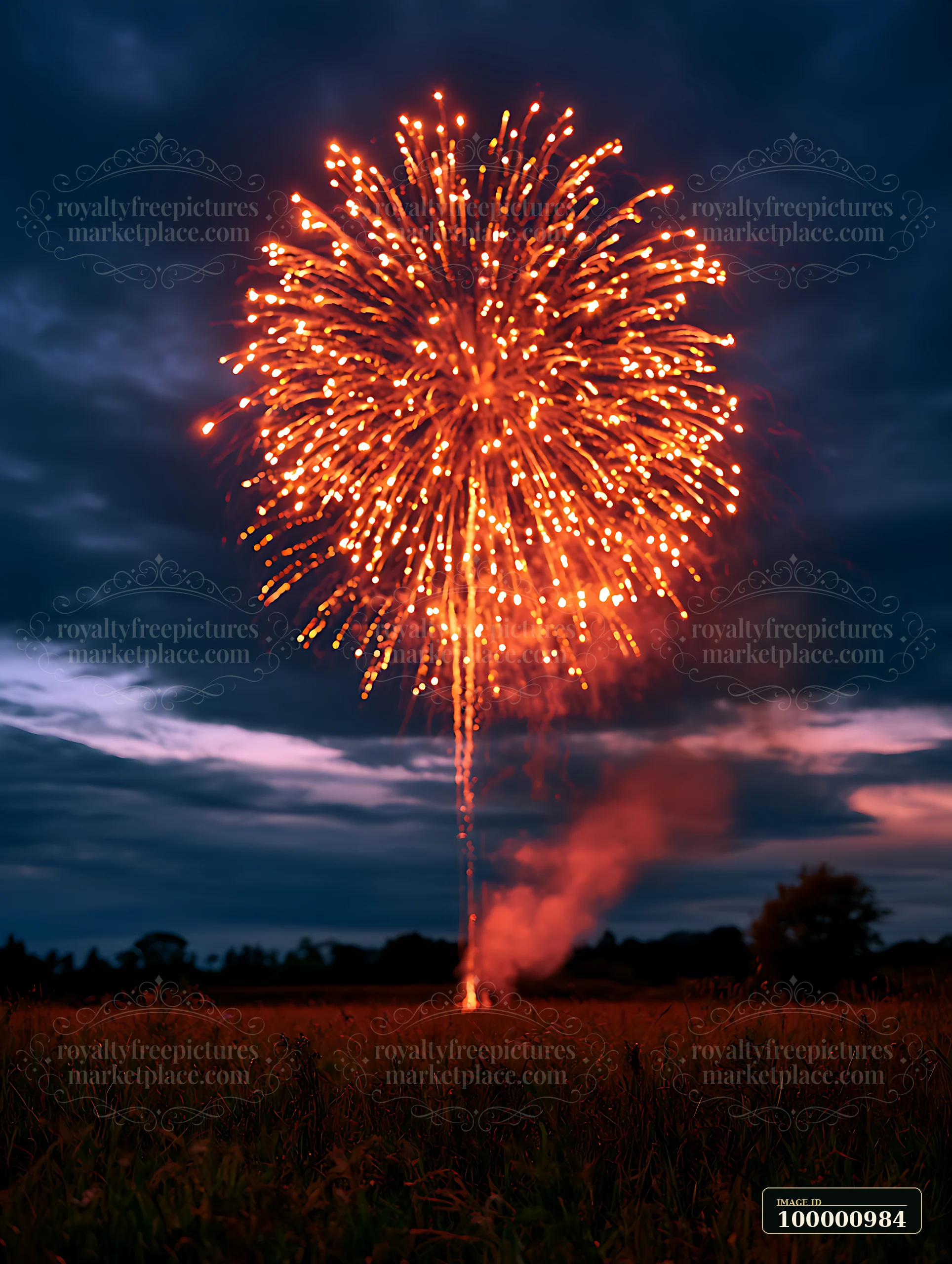 Colorful fireworks burst in the night sky over a field, creating bright sparks against a dark blue backdrop.